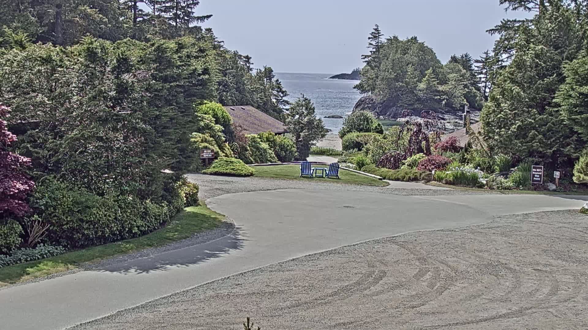 A paved roadway curves through a lush, green landscape toward a calm ocean vista, with two blue chairs situated on a grassy area overlooking the water under a sunny sky.