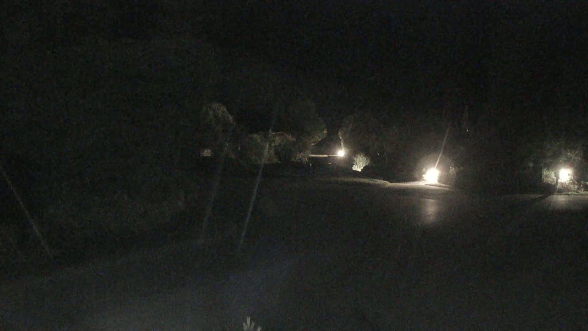A dark, nighttime scene shows a road with sparsely lit landscaping and trees on either side.