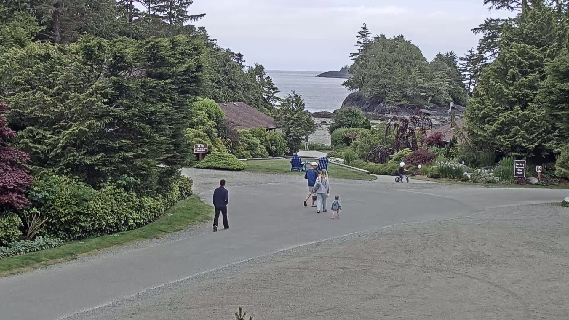 A family walks along a paved path in a lush, green landscape overlooking a calm ocean under an overcast sky.