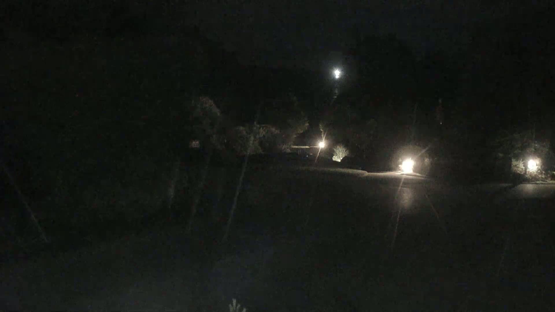 A dark, nighttime scene shows a paved pathway lit by several small lights, bordered by dark trees and shrubs under a mostly clear sky with a bright moon visible in the distance.