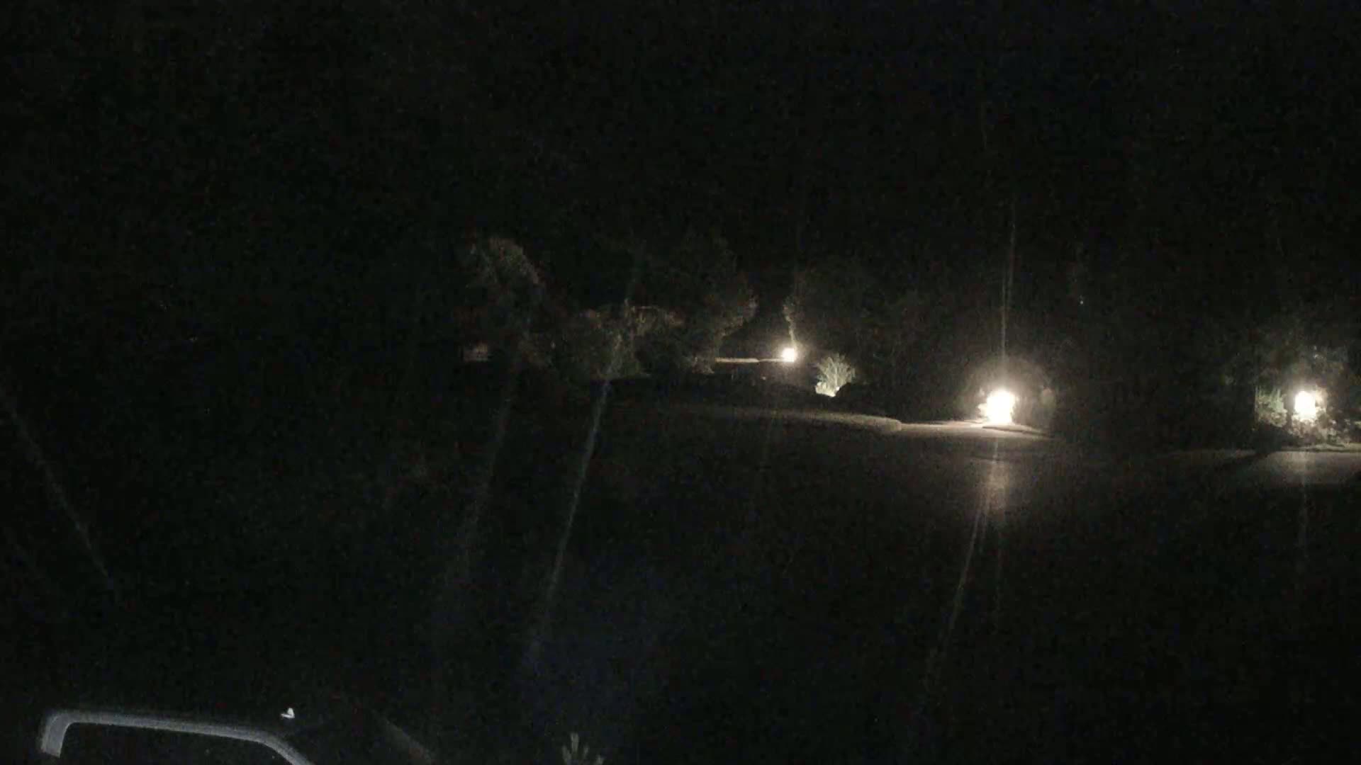 A dark nighttime scene shows a paved area illuminated by several lights among dark shrubbery.