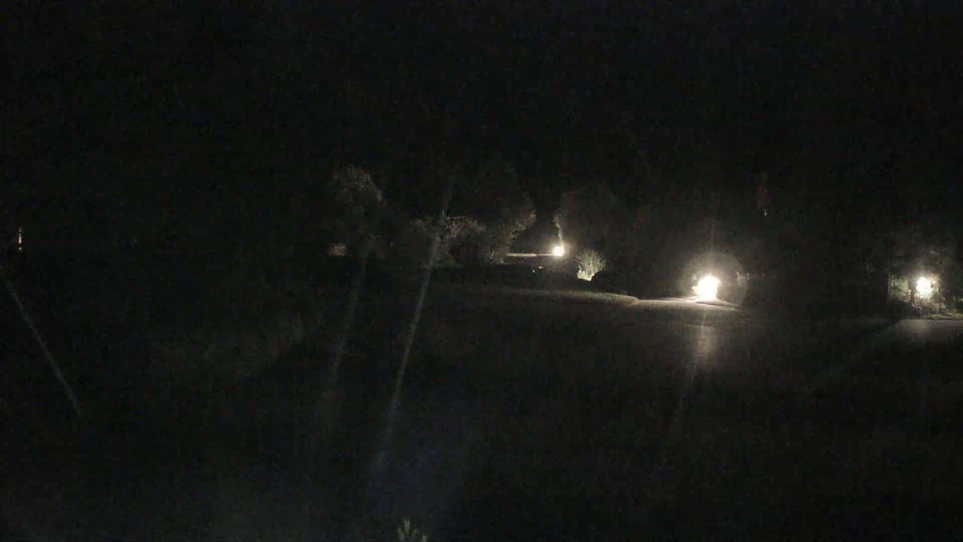 A dark, nighttime scene shows a road lit by several lamps among dark trees and bushes.