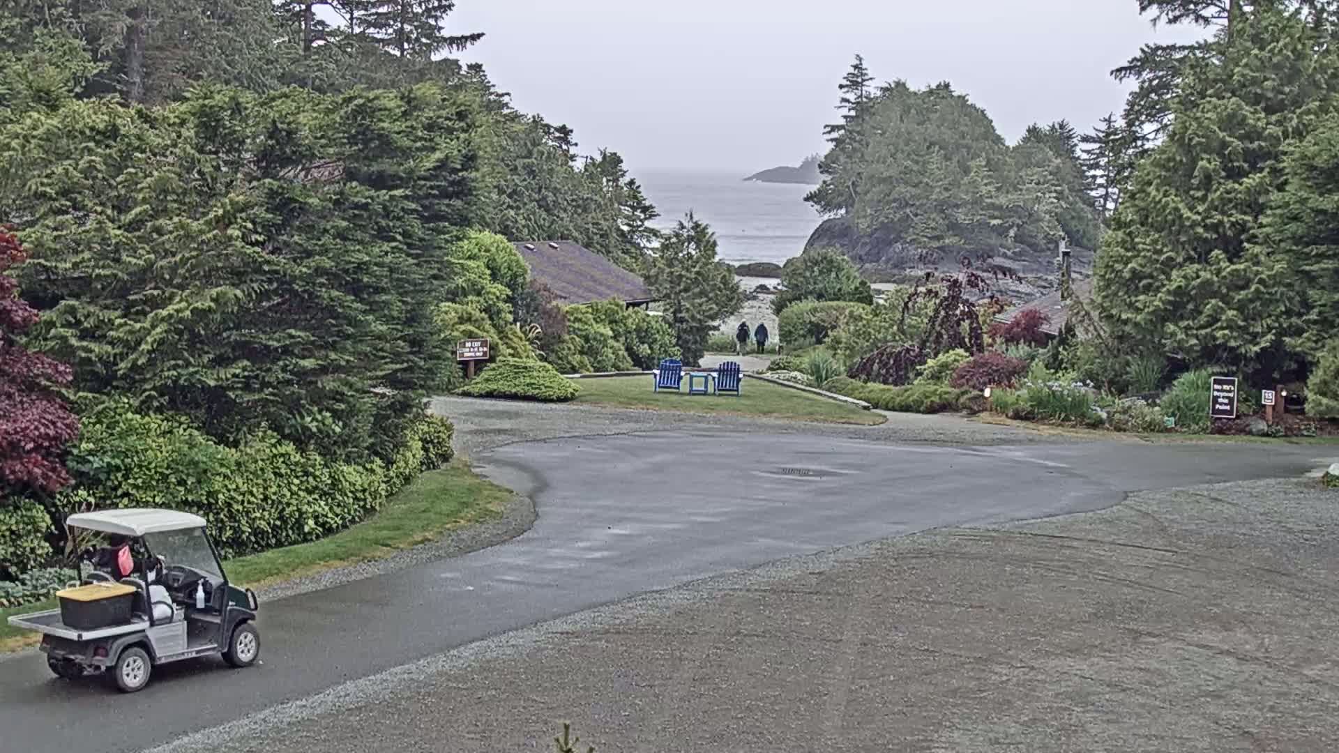 A golf cart drives on a paved road toward a tranquil seaside scene partially obscured by fog and lush greenery.