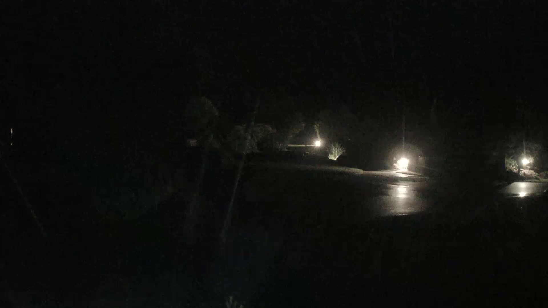 A dark, nighttime scene shows a wet, paved area illuminated by several lights positioned among dark trees and shrubs.