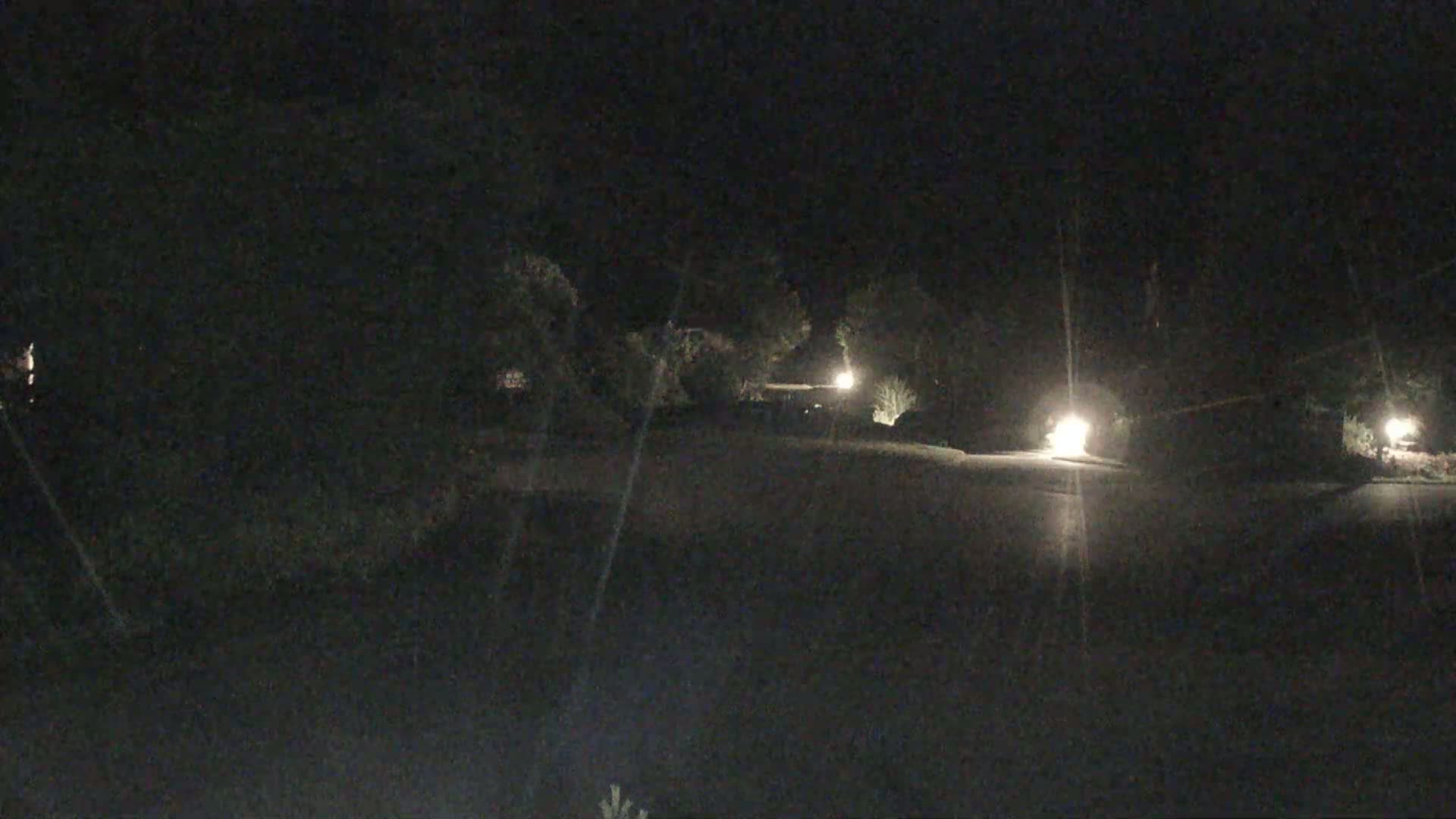A dark, nighttime scene shows a residential street lit by several sparsely placed yard lights, with dark trees and shrubs lining the sides.