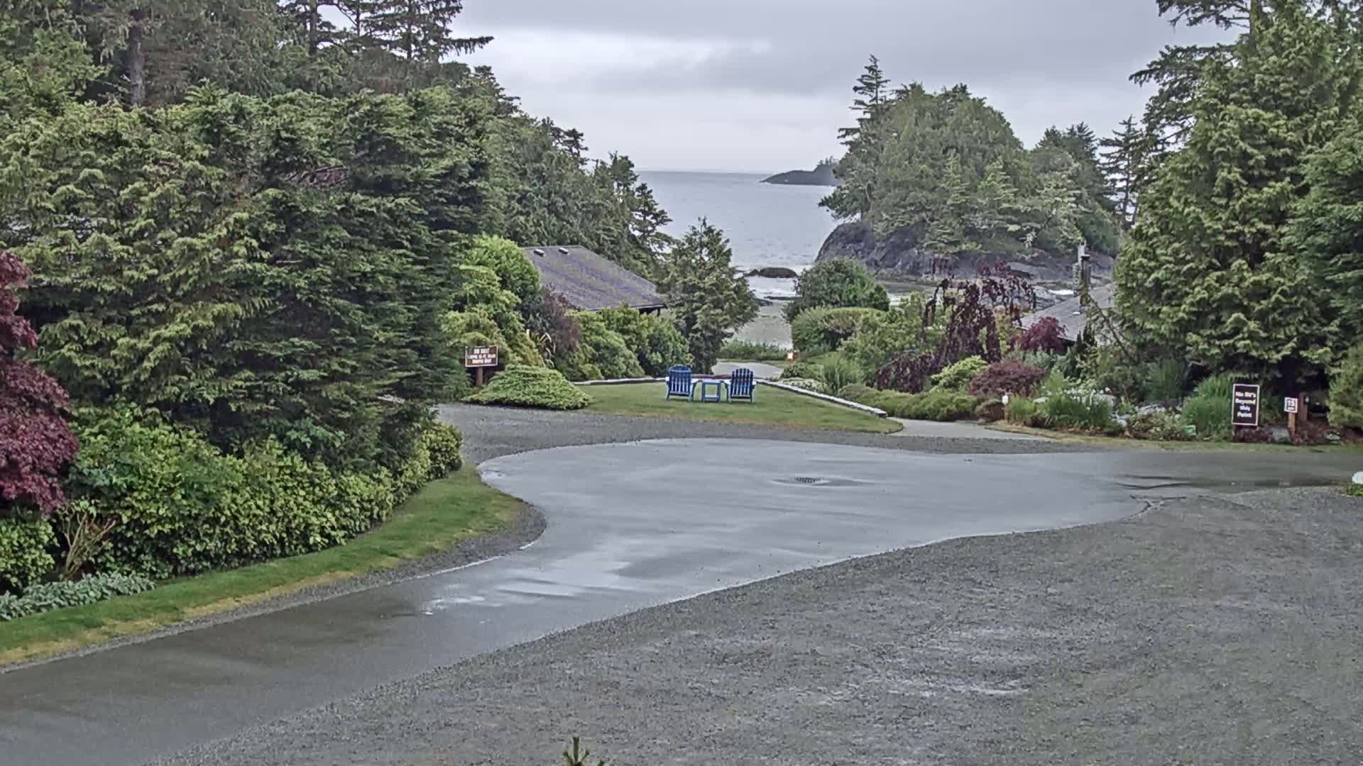 A wet, curving asphalt driveway winds through lush green landscaping toward a calm ocean view, with two blue chairs and a small table visible on a grassy area.