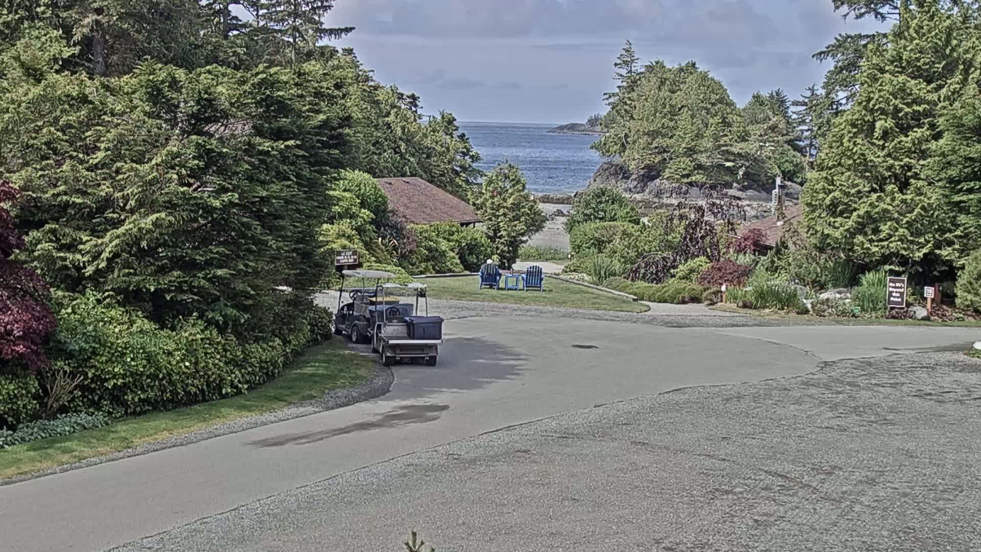 Two golf carts are parked in a paved area near a grassy lawn and lush greenery overlooking a calm ocean on a partly cloudy day.