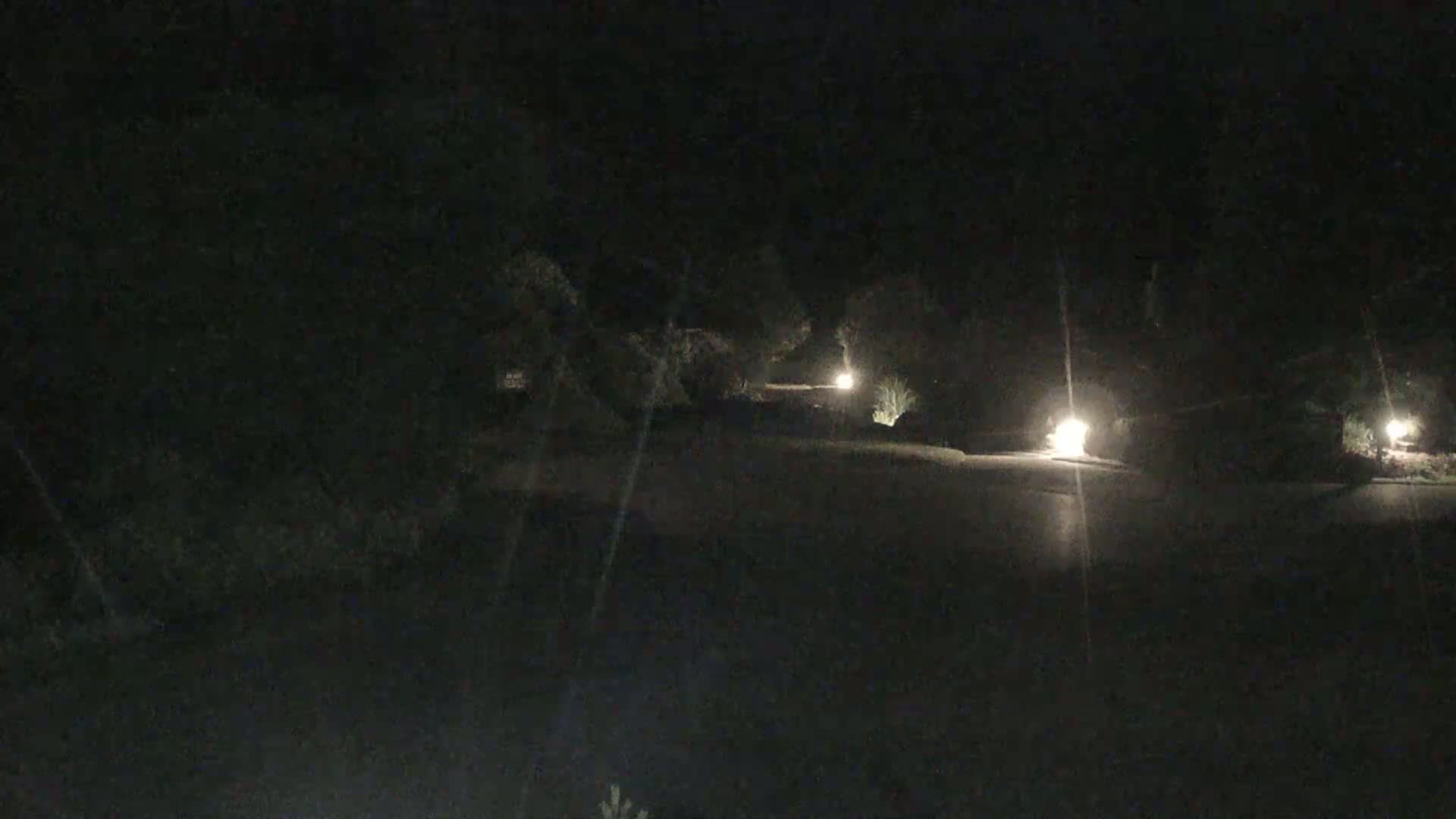 A dark, nighttime scene shows a paved area illuminated by several low-level lights set among shrubbery.