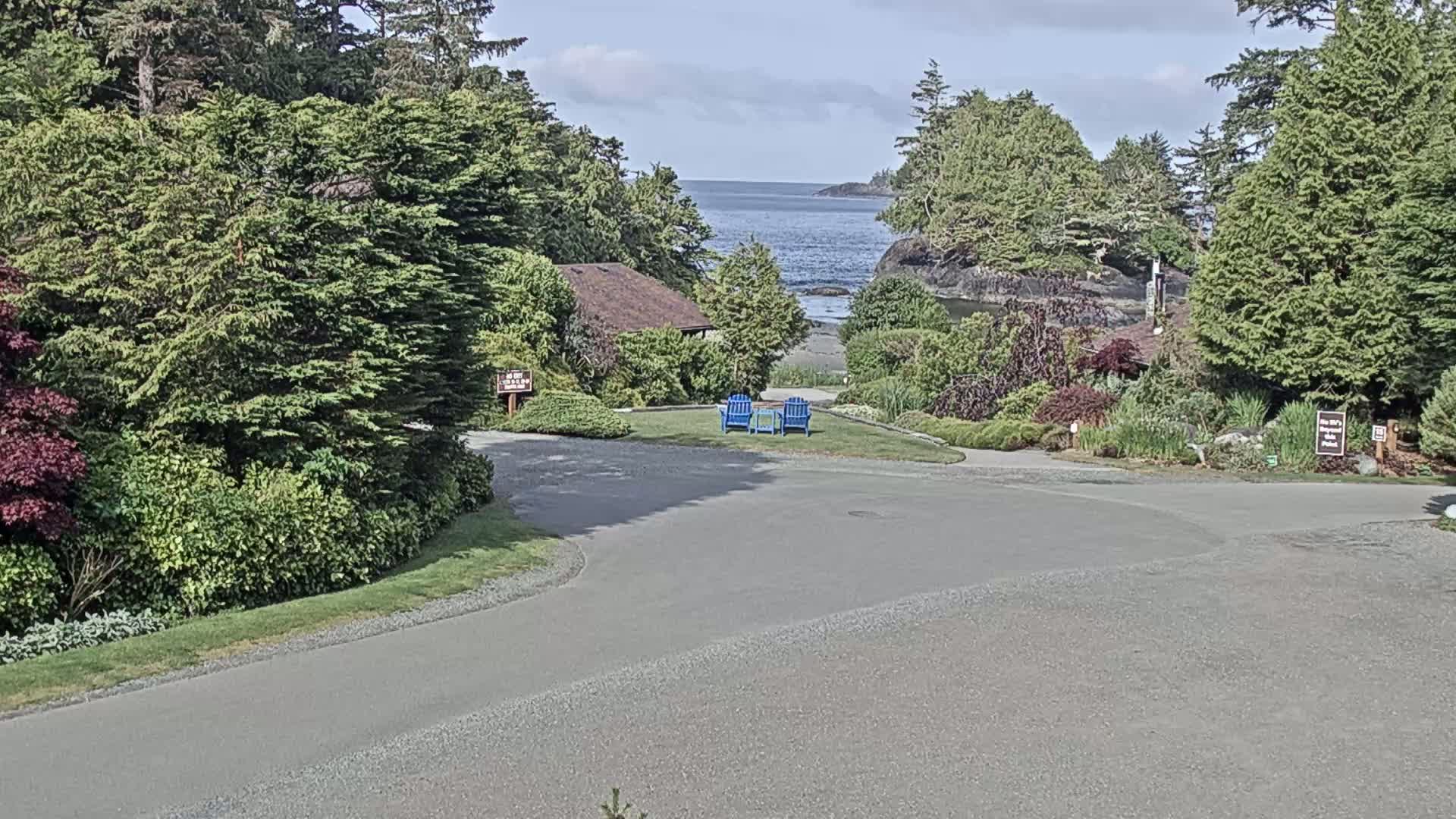 A paved road curves through a lush, green landscape with a glimpse of a calm ocean and a small beach in the background under a partly cloudy sky.