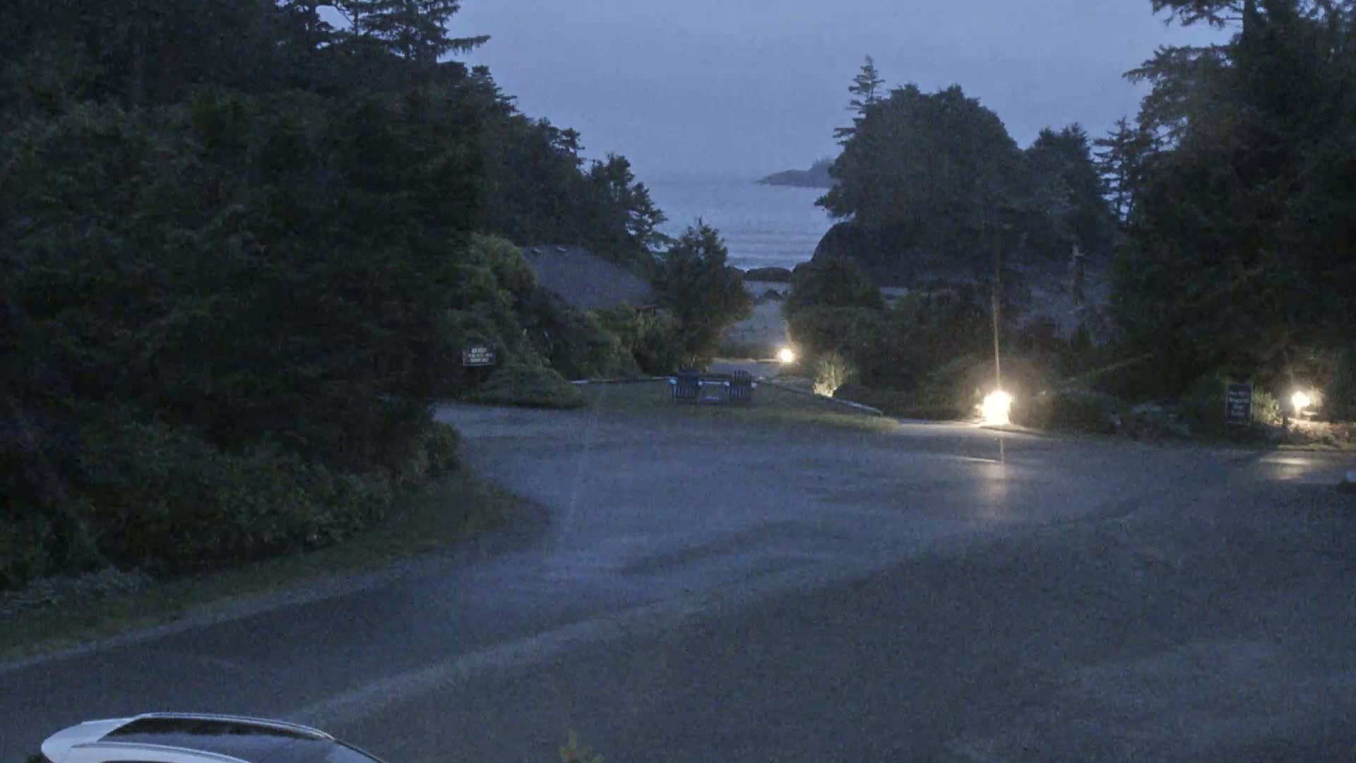 A dark, wet parking lot overlooks a calm ocean at dusk, surrounded by lush, dark green trees and low-lying buildings.