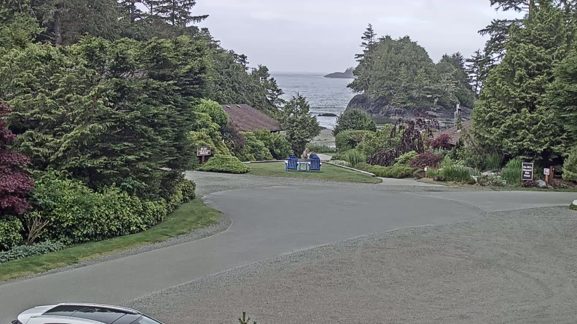 A paved driveway curves through lush green landscaping toward a view of a calm ocean under an overcast sky, with two blue chairs on a grassy area.