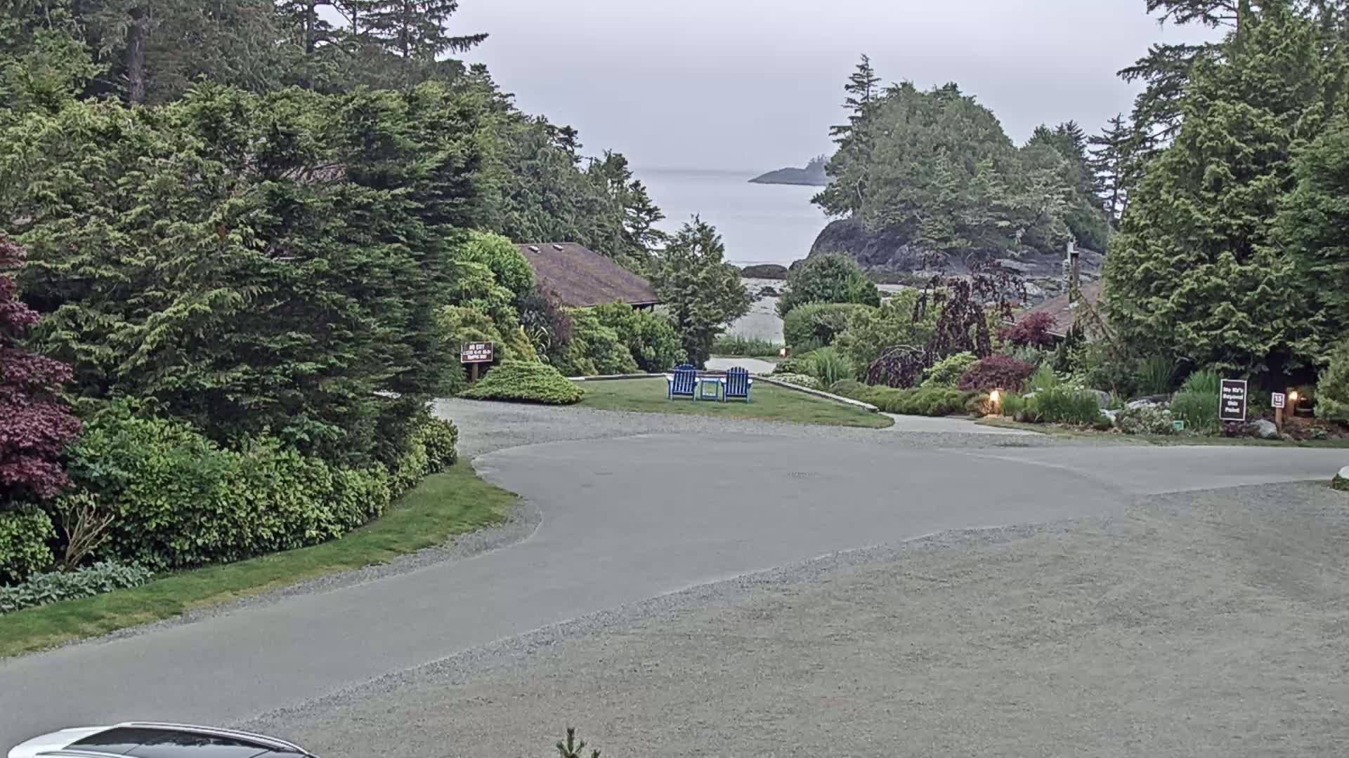 A paved driveway curves through a lush, green landscape featuring evergreen trees, shrubs, and a glimpse of a calm ocean in the background under an overcast sky.