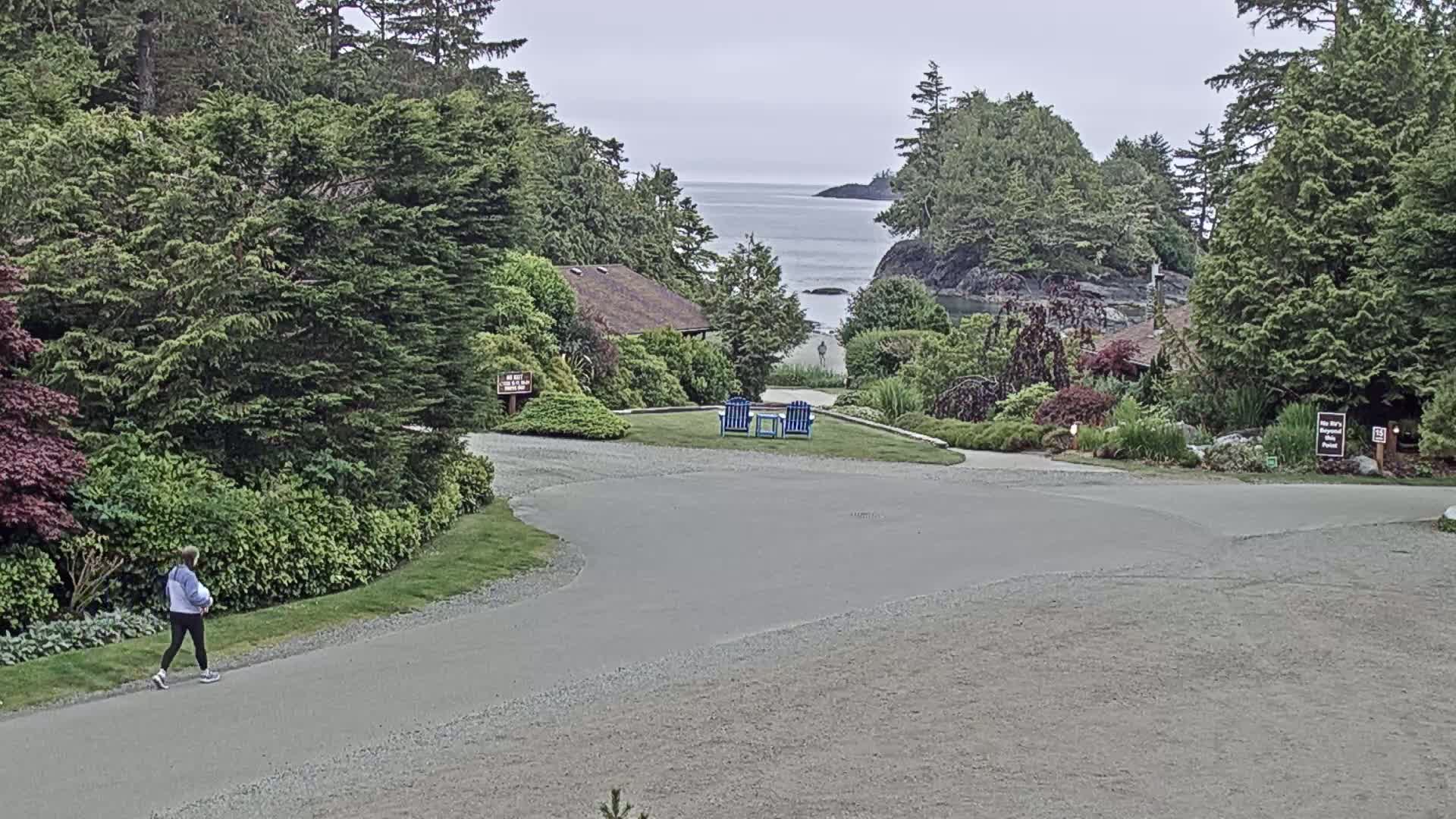 A person walks on a paved path in a lush, green coastal area, overlooking a calm ocean under an overcast sky.