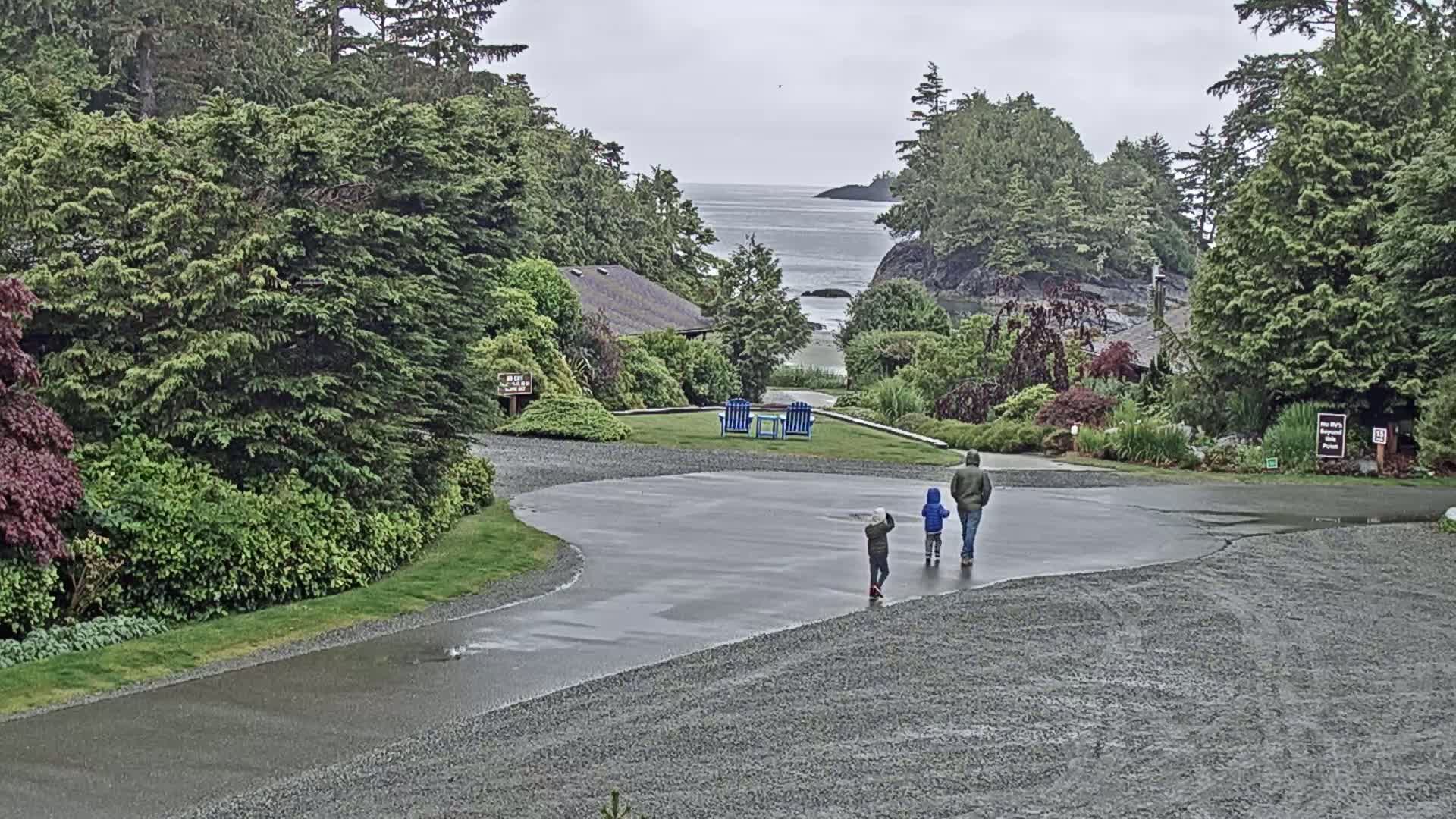 Tofino, Mackenzie Beach Live Cam - Tofino, Alberni-Clayoquot, British Columbia, Canada