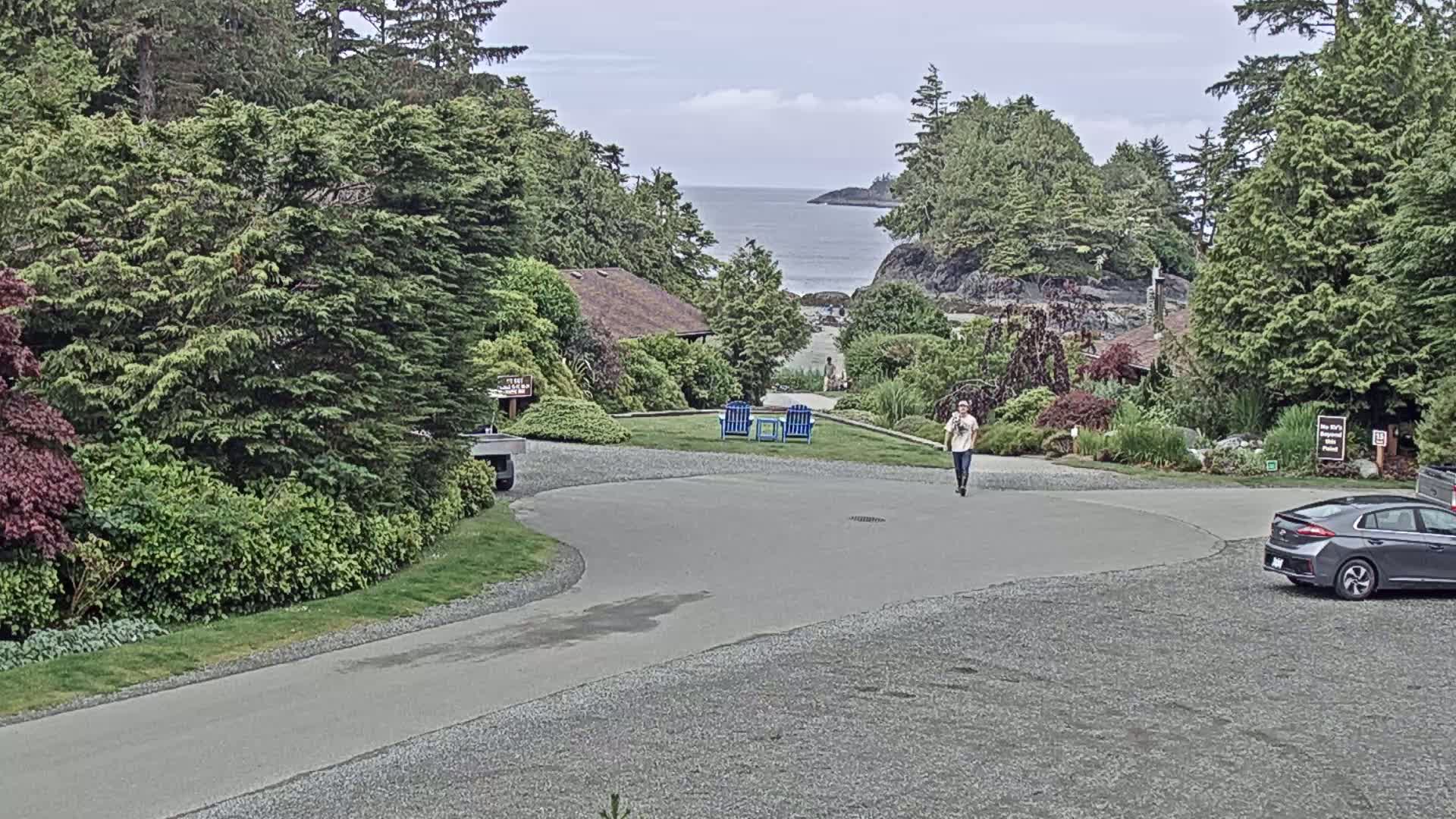 Tofino, Mackenzie Beach Live Cam - Tofino, Alberni-Clayoquot, British Columbia, Canada