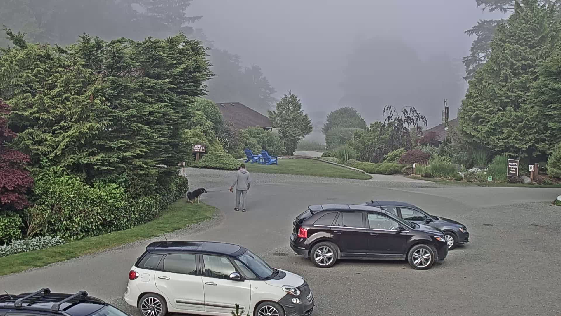 Tofino, Mackenzie Beach Live Cam - Tofino, Alberni-Clayoquot, British Columbia, Canada