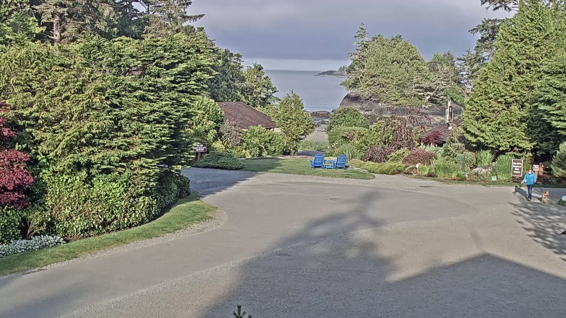 A paved driveway curves through a lush, green landscape towards a calm ocean view under a partly cloudy sky; a person walks a dog along the driveway.