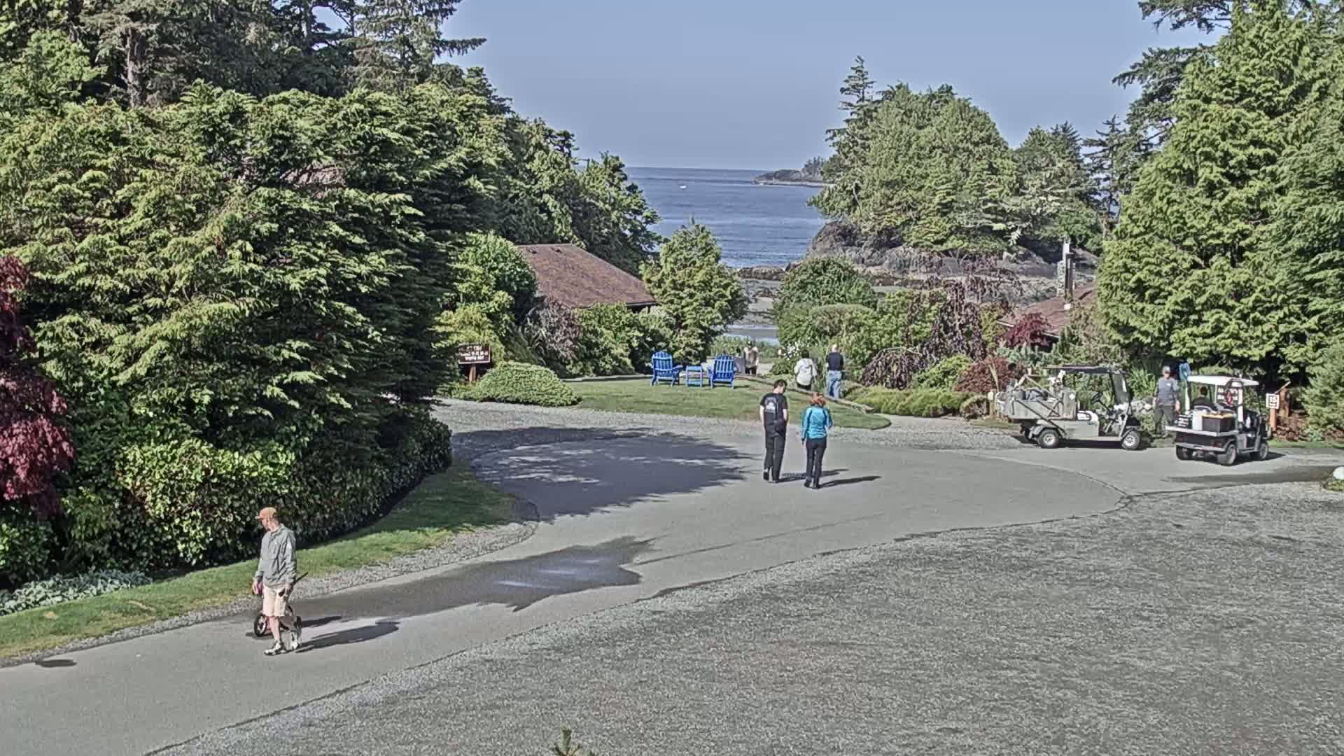 Tofino, Mackenzie Beach Live Cam - Tofino, Alberni-Clayoquot, British Columbia, Canada