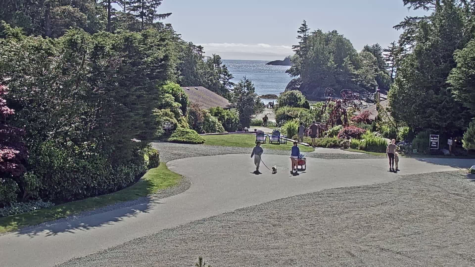 Tofino, Mackenzie Beach Live Cam - Tofino, Alberni-Clayoquot, British Columbia, Canada