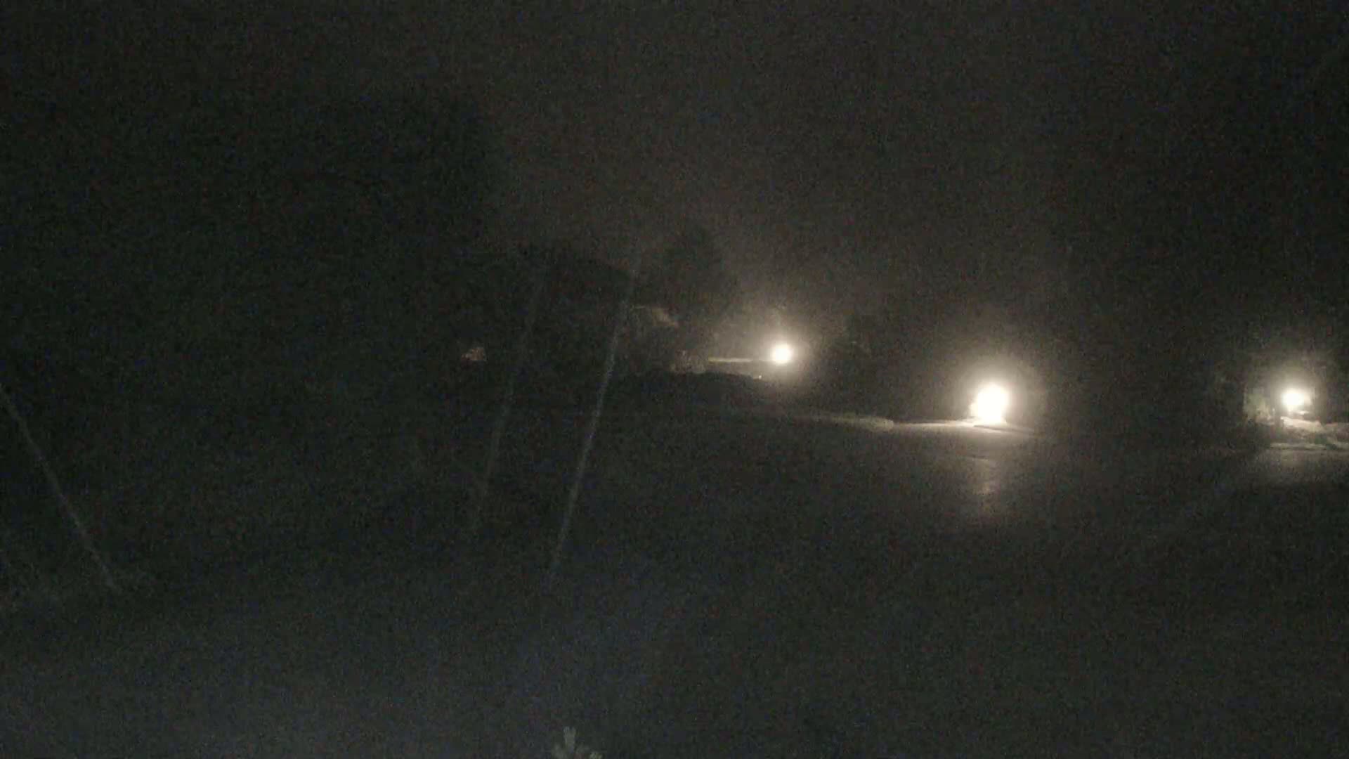 Headlights from vehicles are visible on a foggy road at night, surrounded by dark trees and shrubbery.