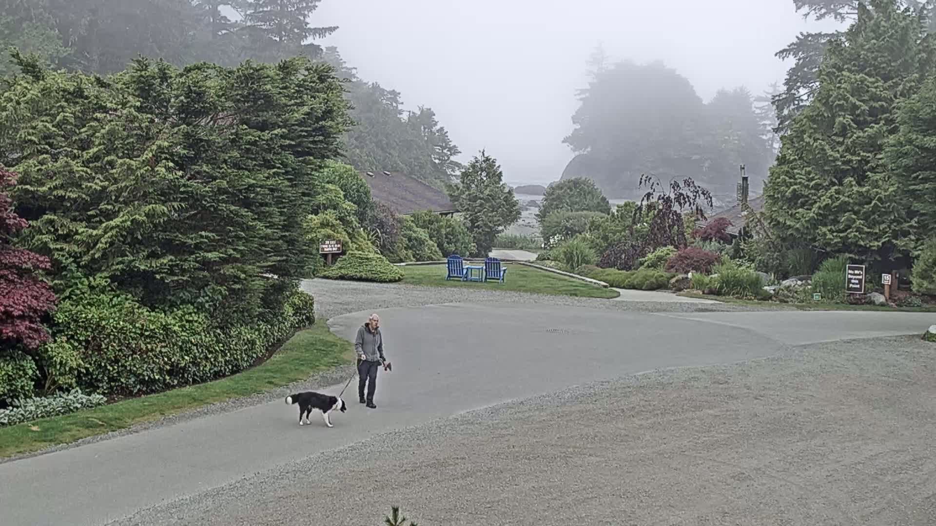 Tofino, Mackenzie Beach Live Cam - Tofino, Alberni-Clayoquot, British Columbia, Canada
