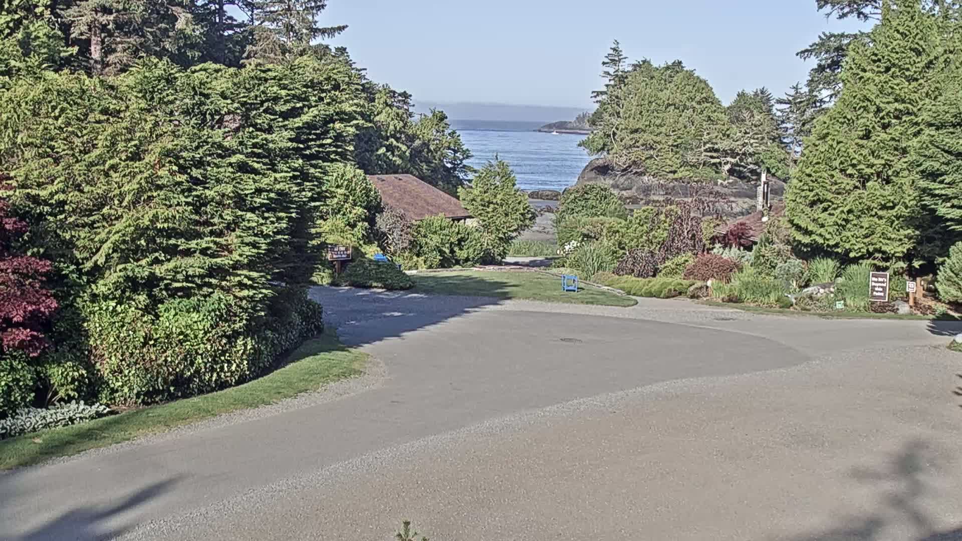 Tofino, Mackenzie Beach Live Cam - Tofino, Alberni-Clayoquot, British Columbia, Canada