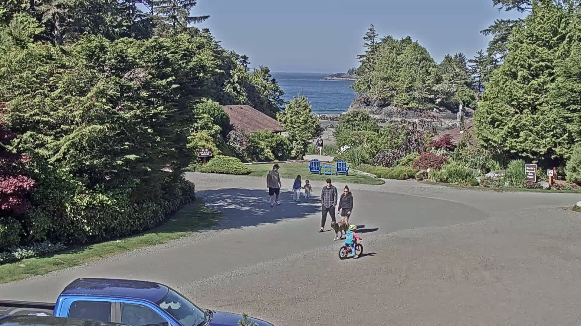 Tofino, Mackenzie Beach Live Cam - Tofino, Alberni-Clayoquot, British Columbia, Canada