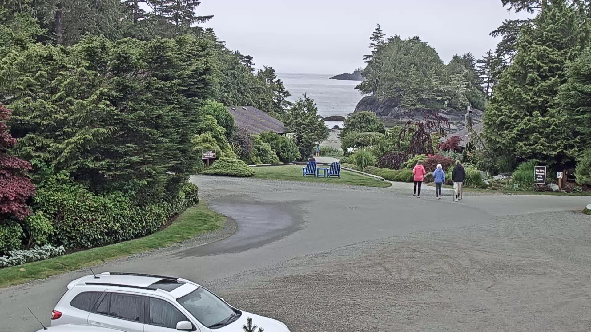 Tofino, Mackenzie Beach Live Cam - Tofino, Alberni-Clayoquot, British Columbia, Canada