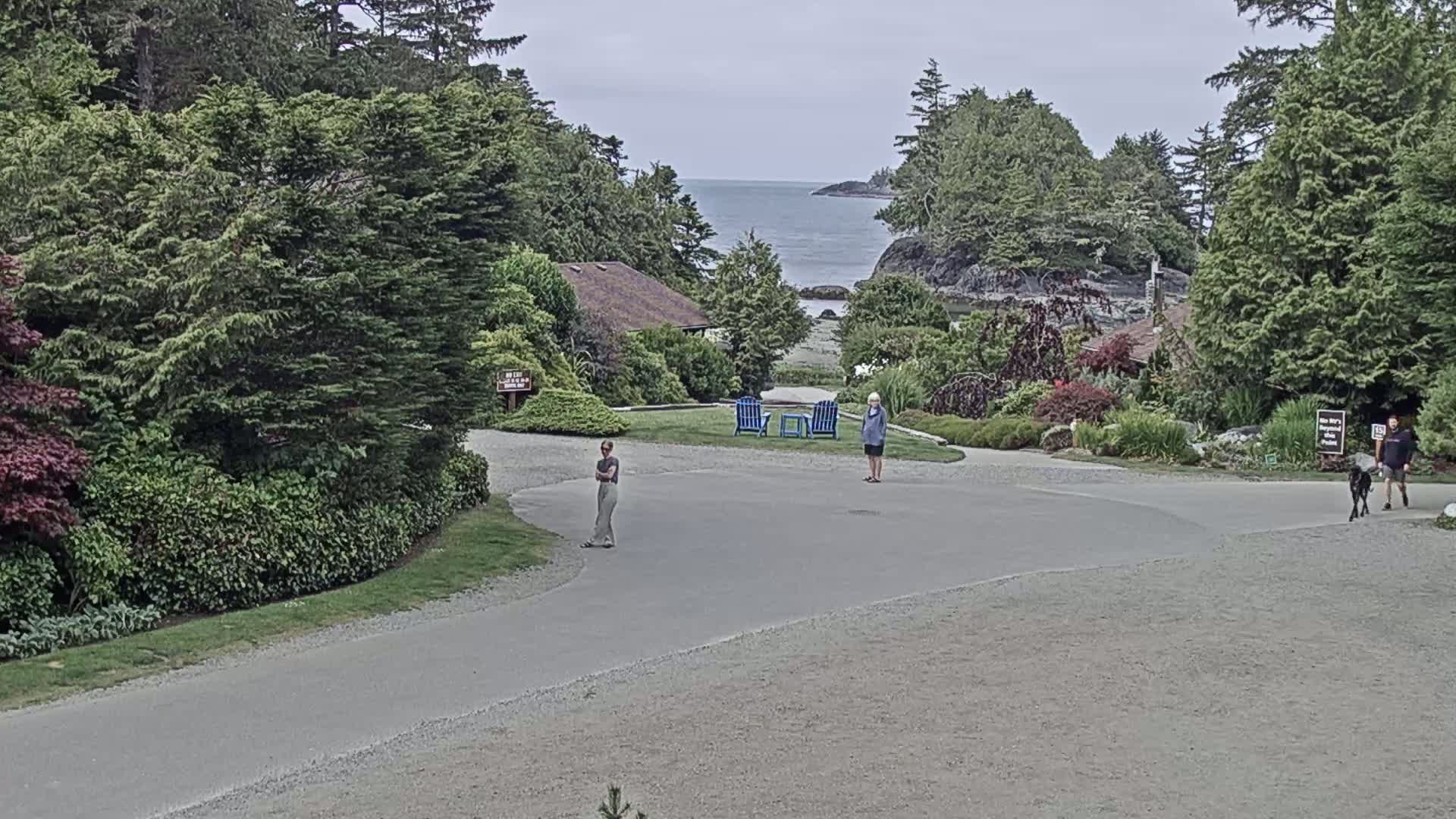 Tofino, Mackenzie Beach Live Cam - Tofino, Alberni-Clayoquot, British Columbia, Canada