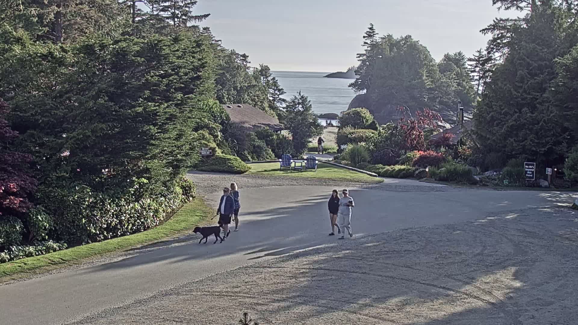 Tofino, Mackenzie Beach Live Cam - Tofino, Alberni-Clayoquot, British Columbia, Canada