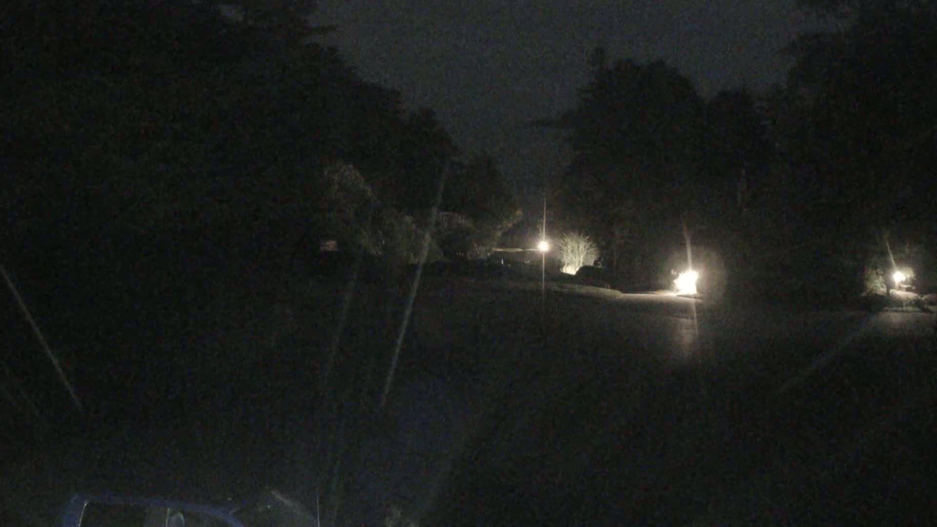 A dark, nighttime scene shows a residential street lit by several lamps, bordered by trees and shrubs.