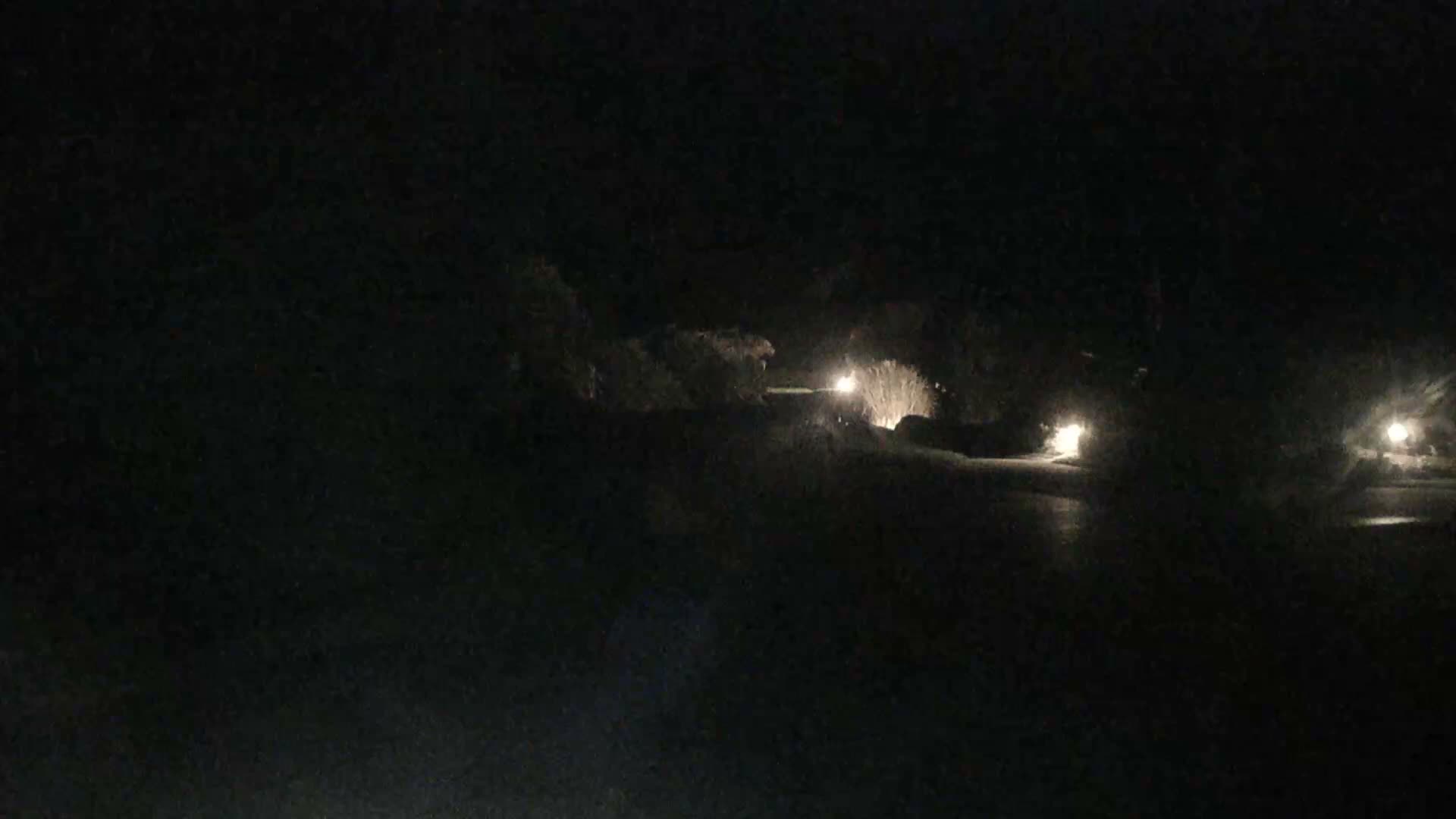 Tofino, Mackenzie Beach Live Cam - Tofino, Alberni-Clayoquot, British Columbia, Canada