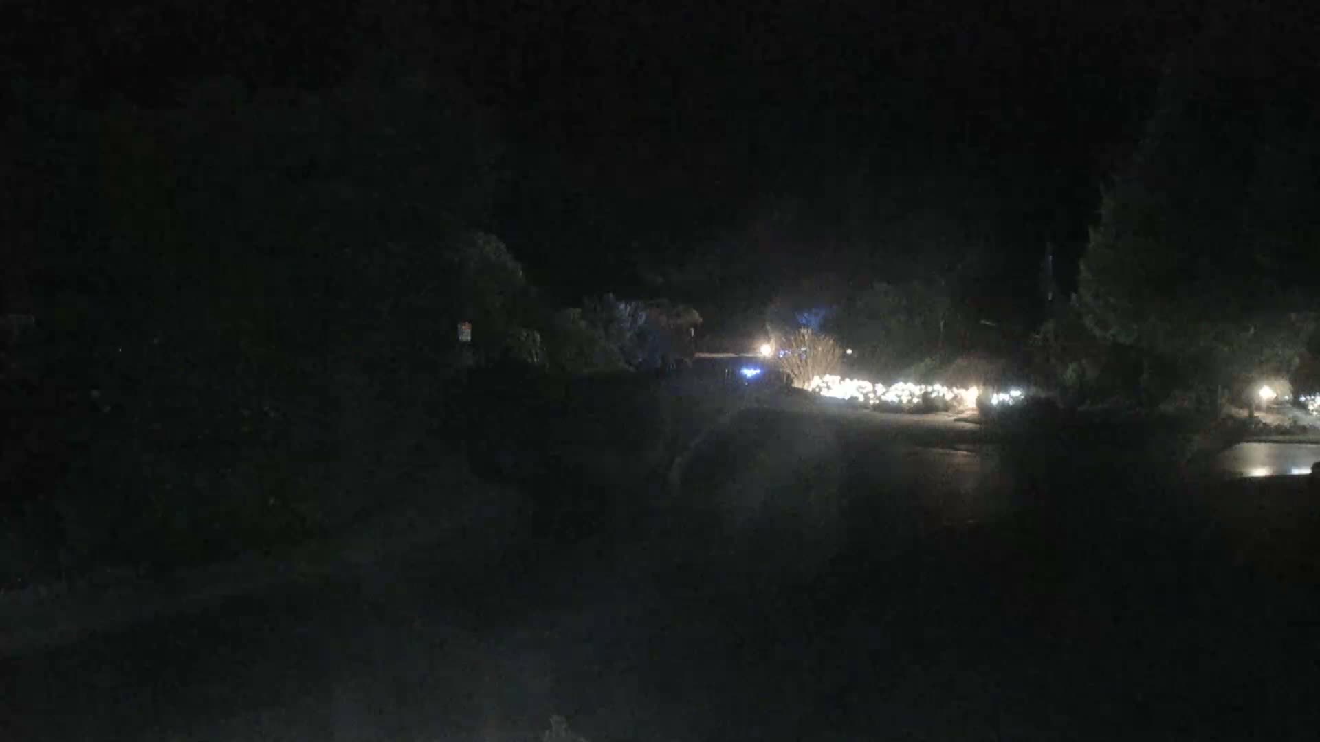 Tofino, Mackenzie Beach Live Cam - Tofino, Alberni-Clayoquot, British Columbia, Canada