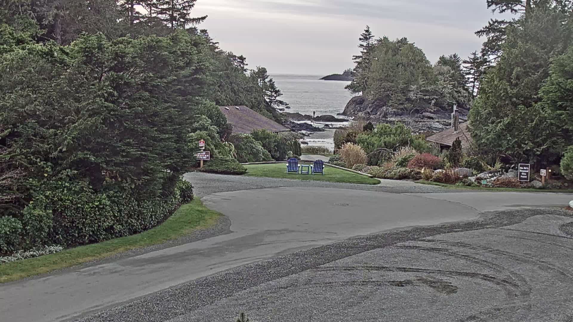 On an overcast day, a winding gravel driveway leads past lush coastal foliage and a few hidden buildings to a grassy knoll with two blue Adirondack chairs overlooking a rocky cove where a lone figure stands near the breaking waves.