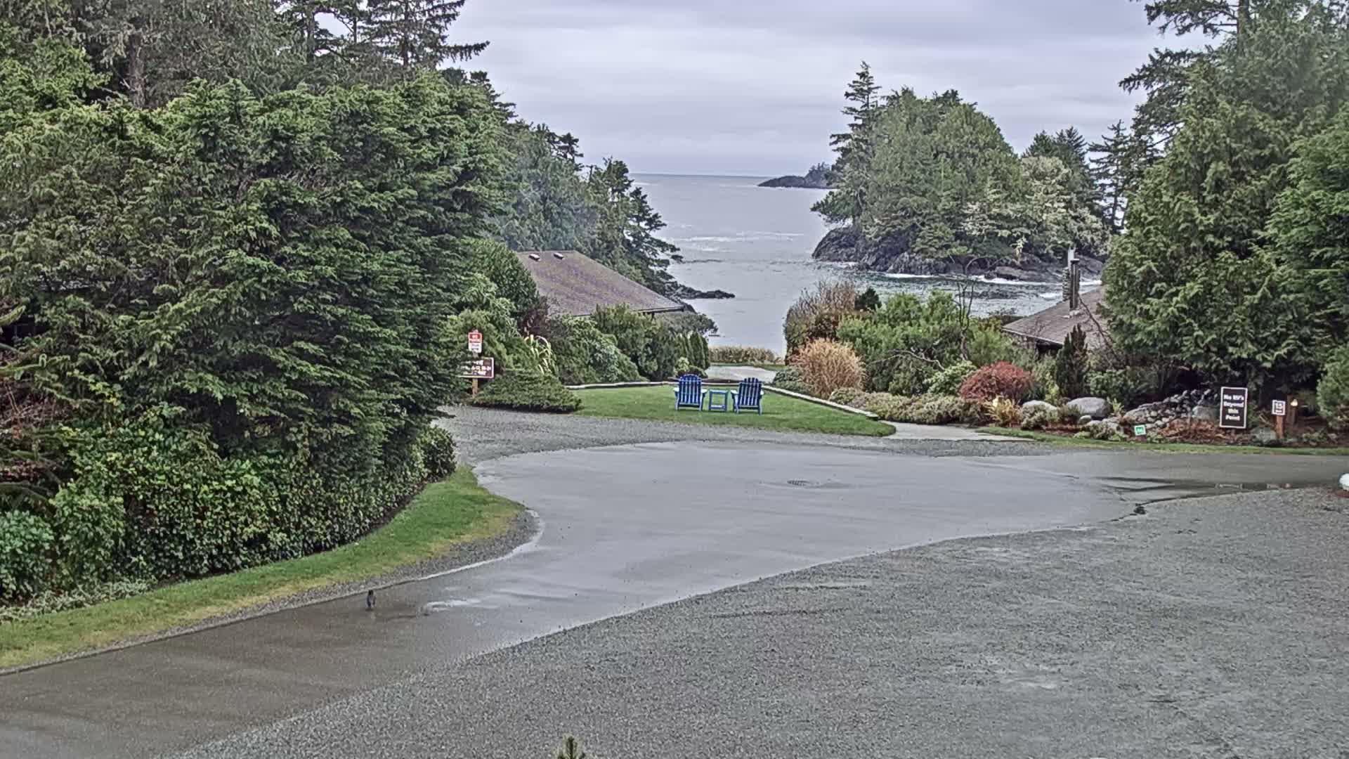 Tofino, Mackenzie Beach Live Cam - Tofino, Alberni-Clayoquot, British Columbia, Canada