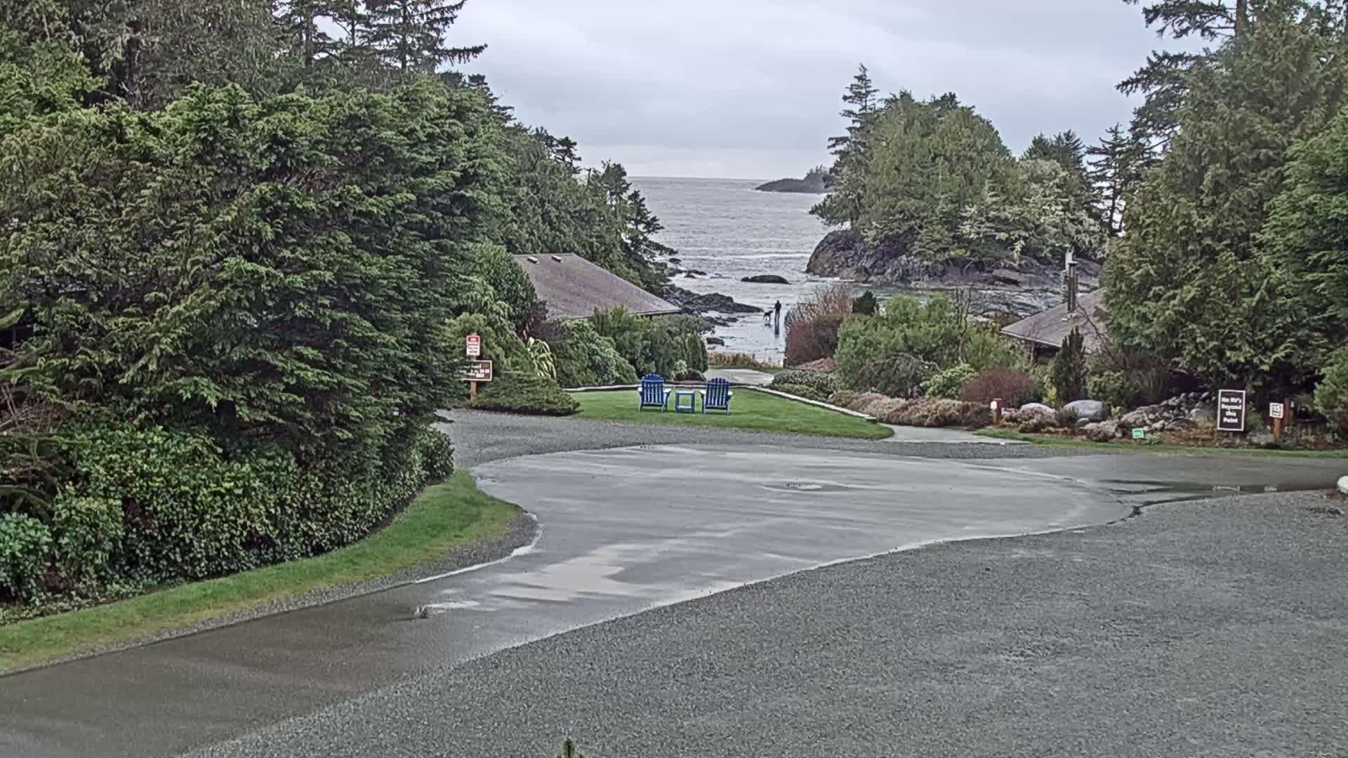 Tofino, Mackenzie Beach Live Cam - Tofino, Alberni-Clayoquot, British Columbia, Canada