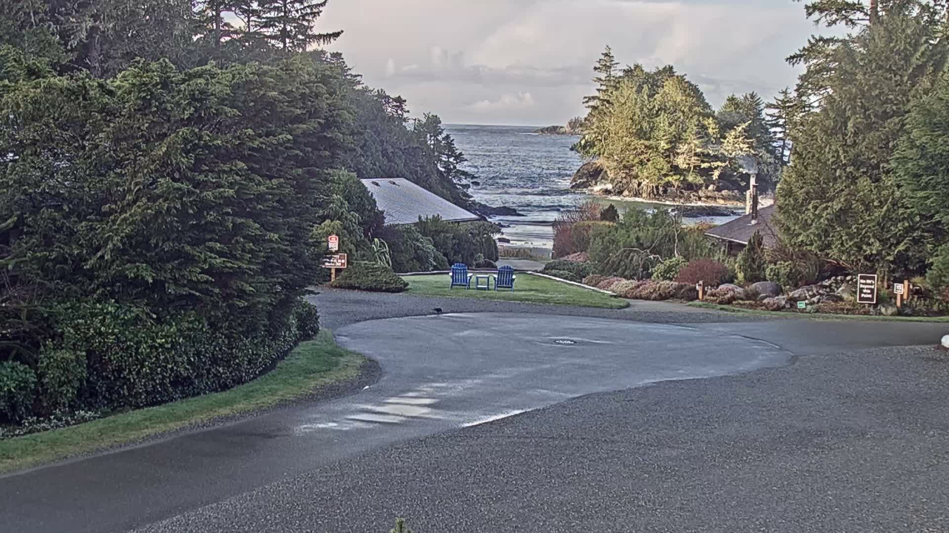 Tofino, Mackenzie Beach Live Cam - Tofino, Alberni-Clayoquot, British Columbia, Canada
