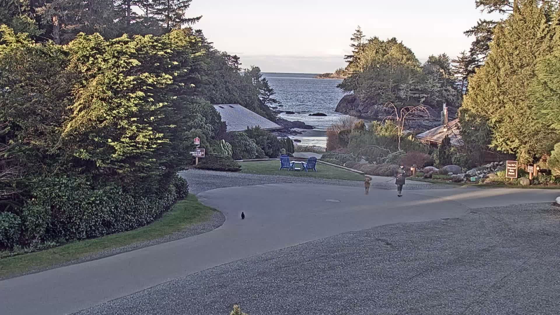 Tofino, Mackenzie Beach Live Cam - Tofino, Alberni-Clayoquot, British Columbia, Canada