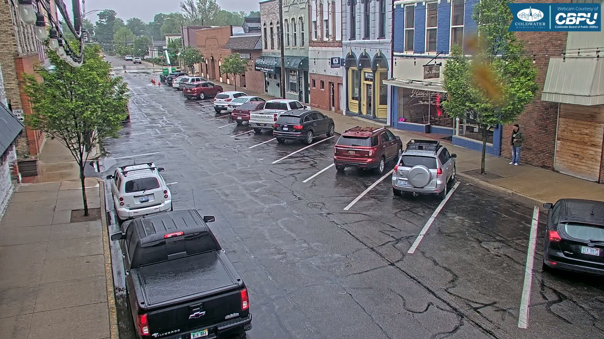 A wet street lined with parked cars in front of brick buildings on a cloudy day.