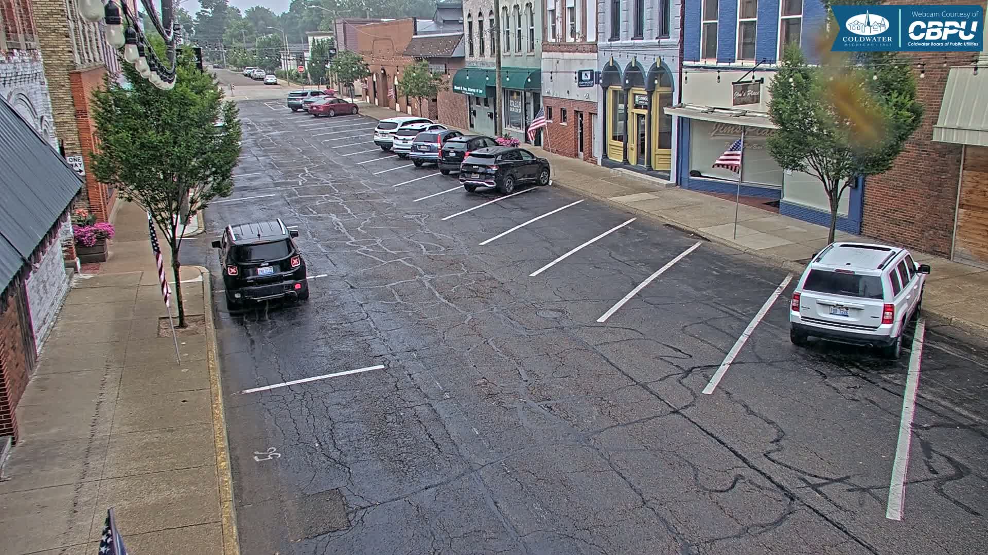 Coldwater, Monroe Street Live Cam - Coldwater, Branch, Michigan, USA