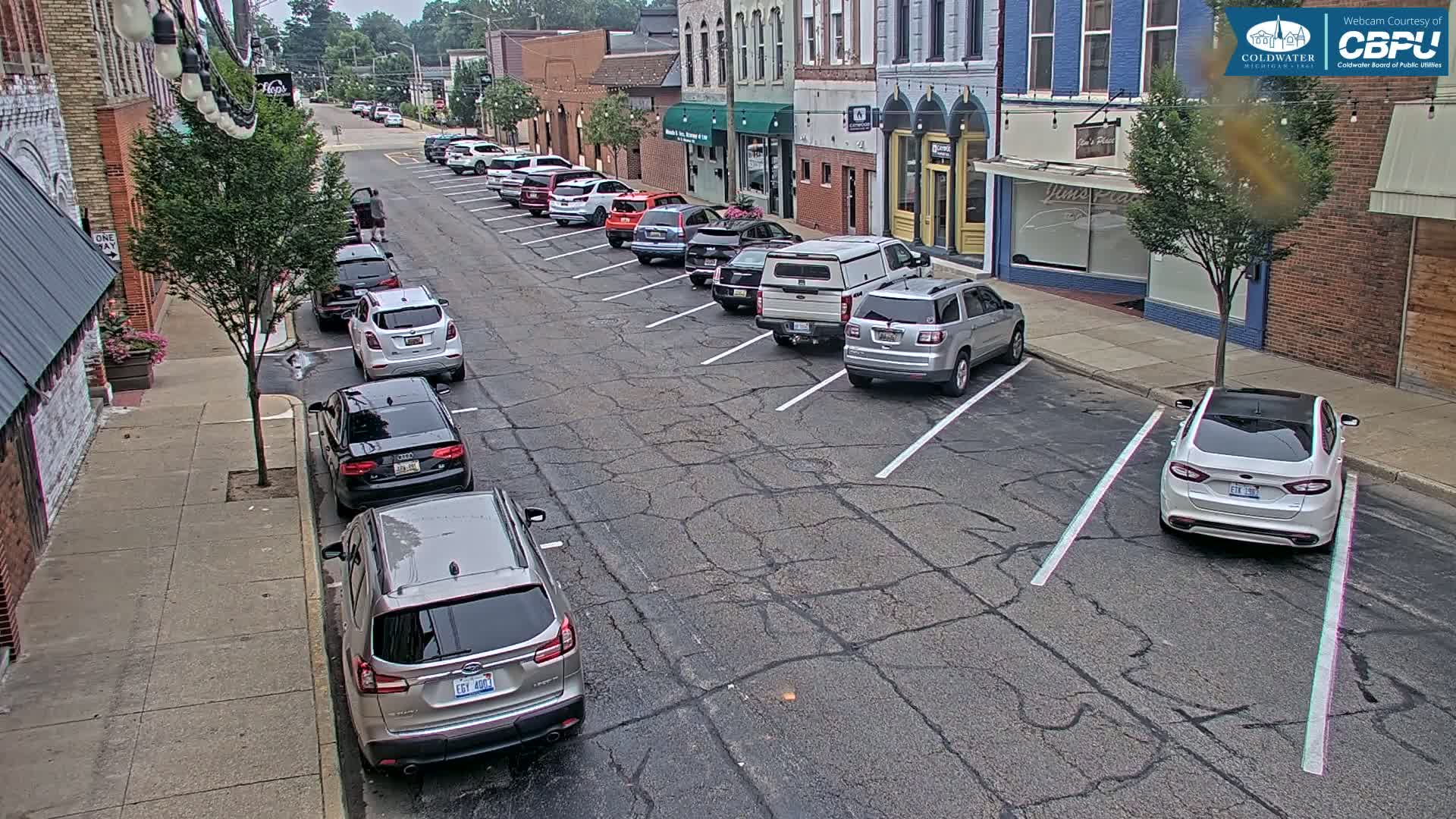Coldwater, Monroe Street Live Cam - Coldwater, Branch, Michigan, USA