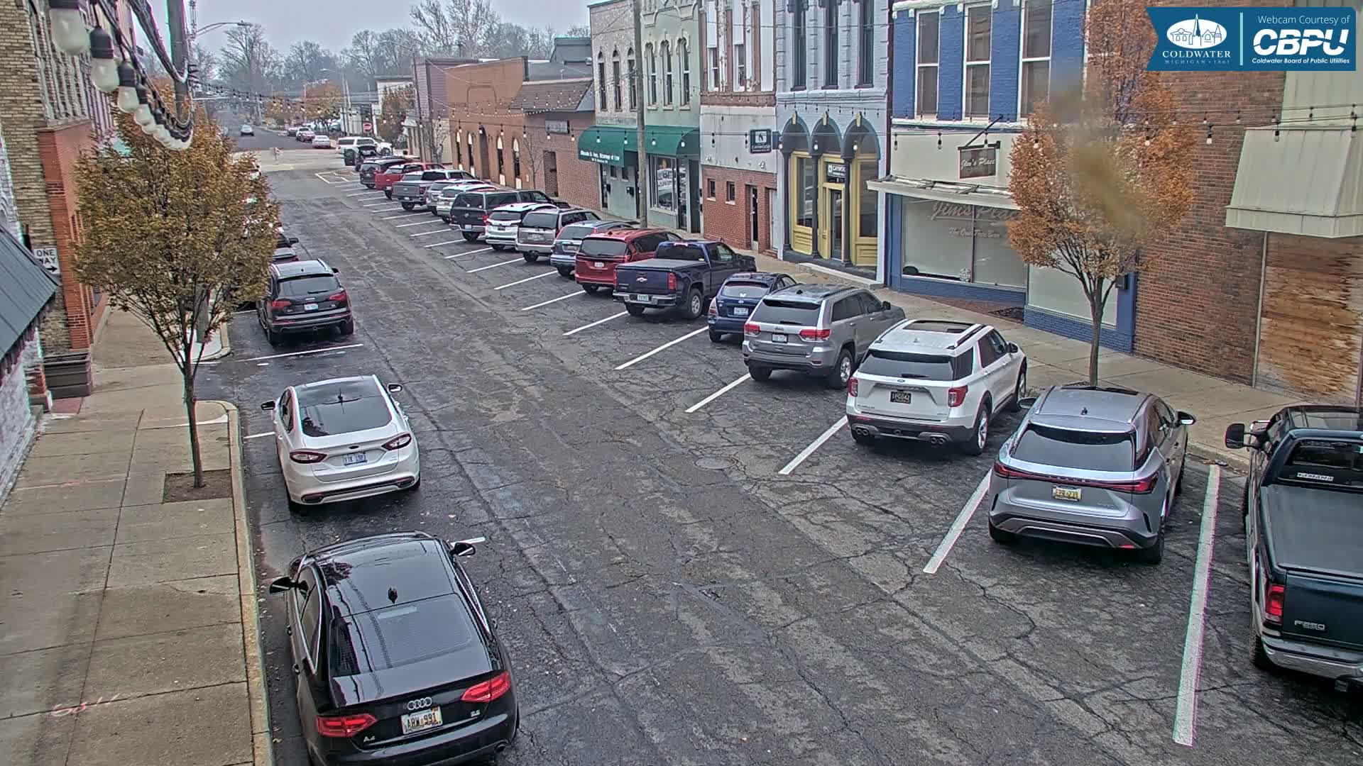 Coldwater, Monroe Street Live Cam - Coldwater, Branch, Michigan, USA