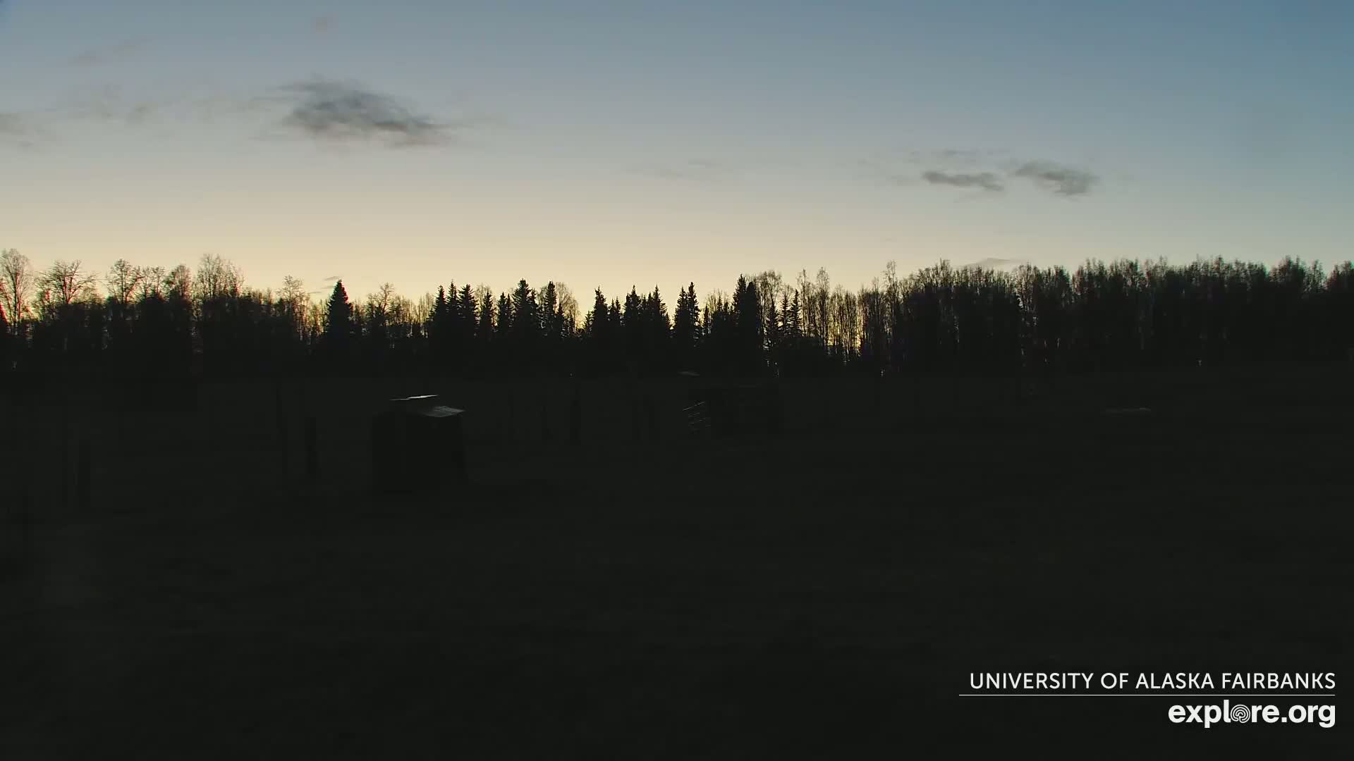 A dark field with a few structures sits before a line of silhouetted trees under a twilight sky.