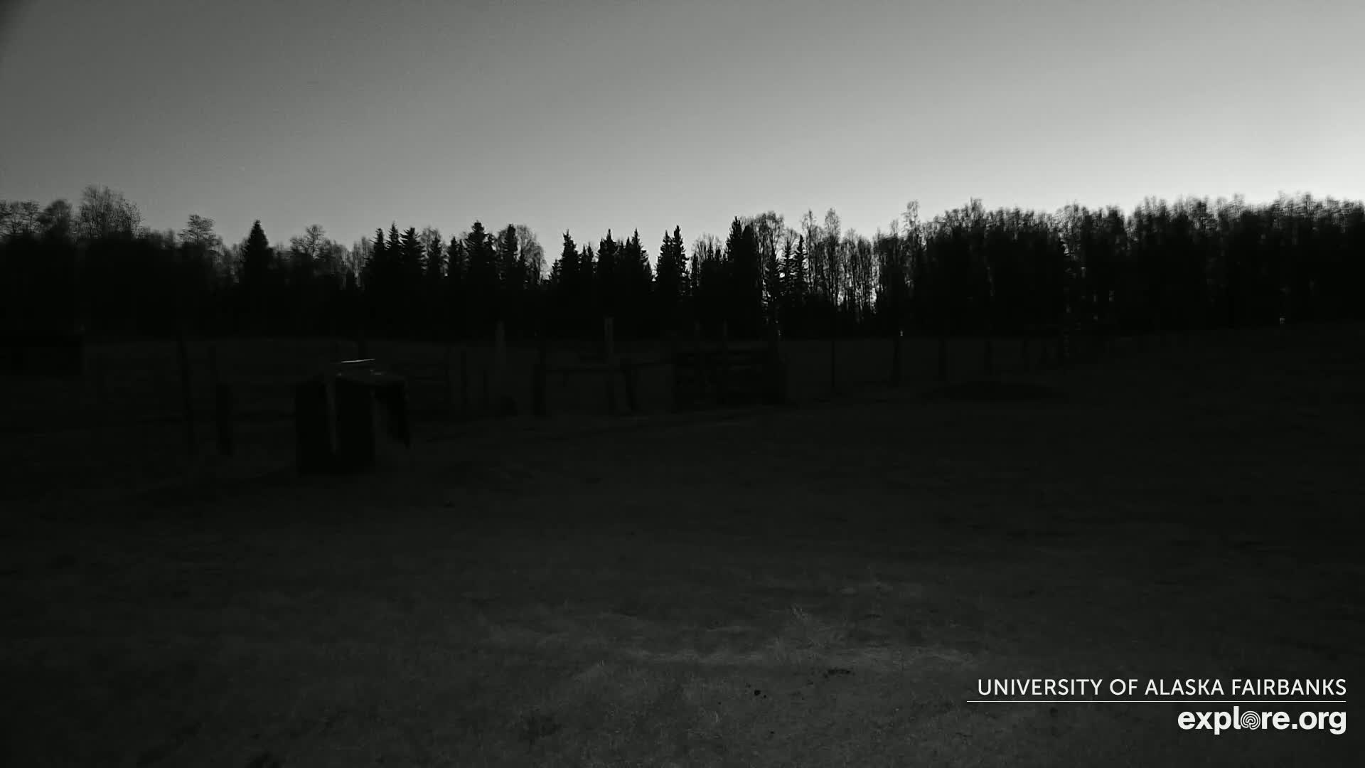 A dark, empty field is bordered by a line of silhouetted trees under a dusky sky.