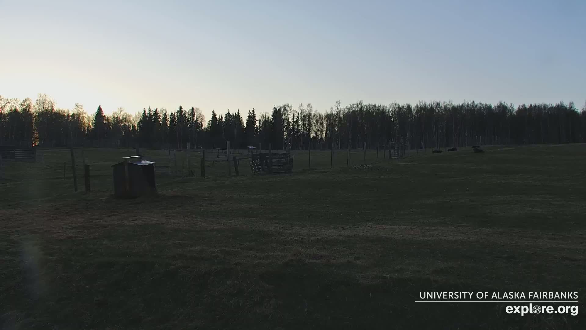 A grassy field enclosed by a fence, containing several animal enclosures and a small shed, is bordered by a dark line of trees under a twilight sky.