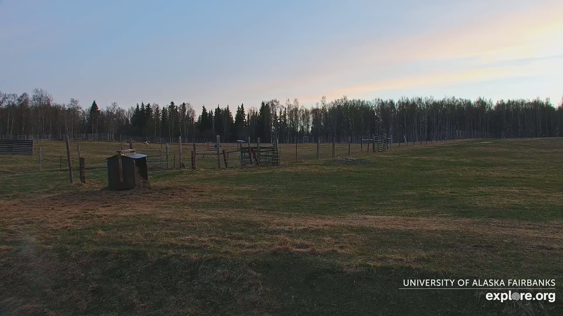 A grassy pasture enclosed by fences, containing several animal enclosures and a hay feeder, sits under a twilight sky.