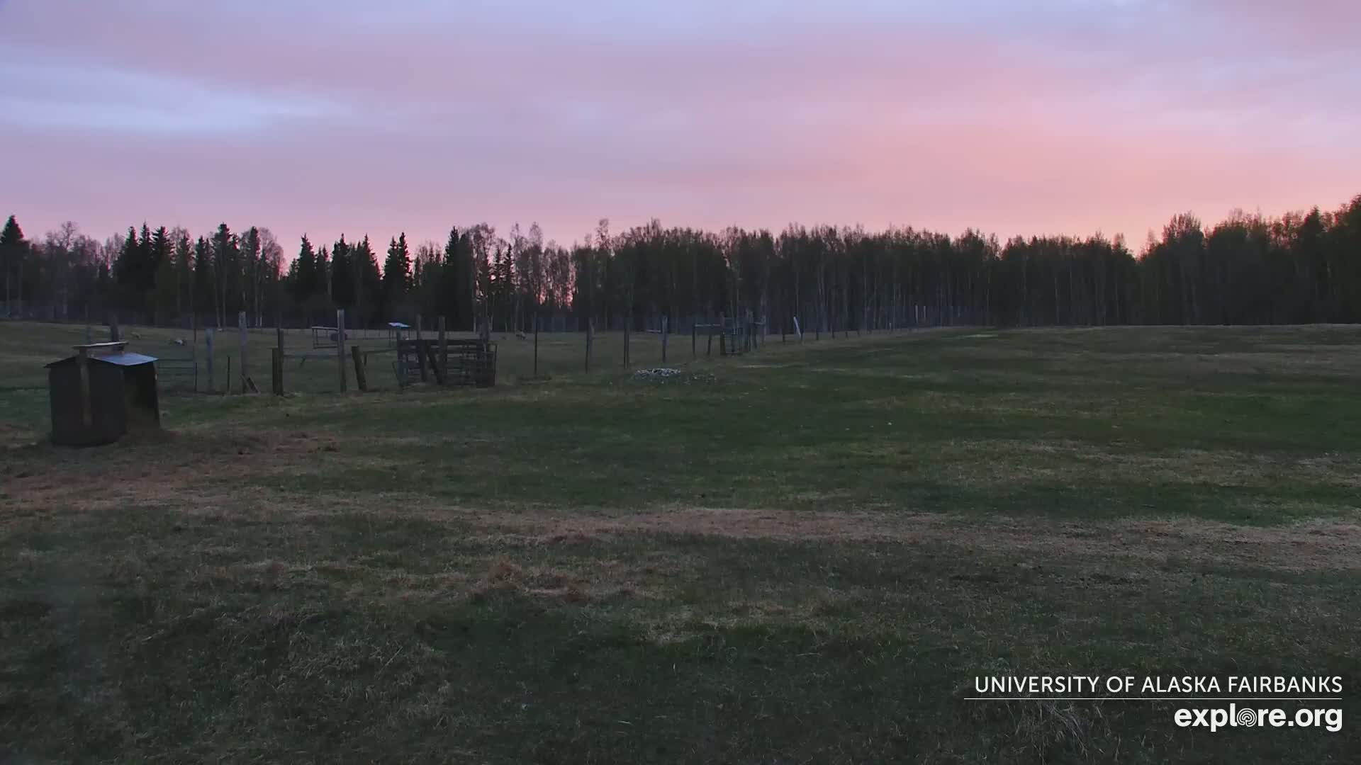 A grassy field with several simple structures and fences is visible at twilight under a pinkish sky.
