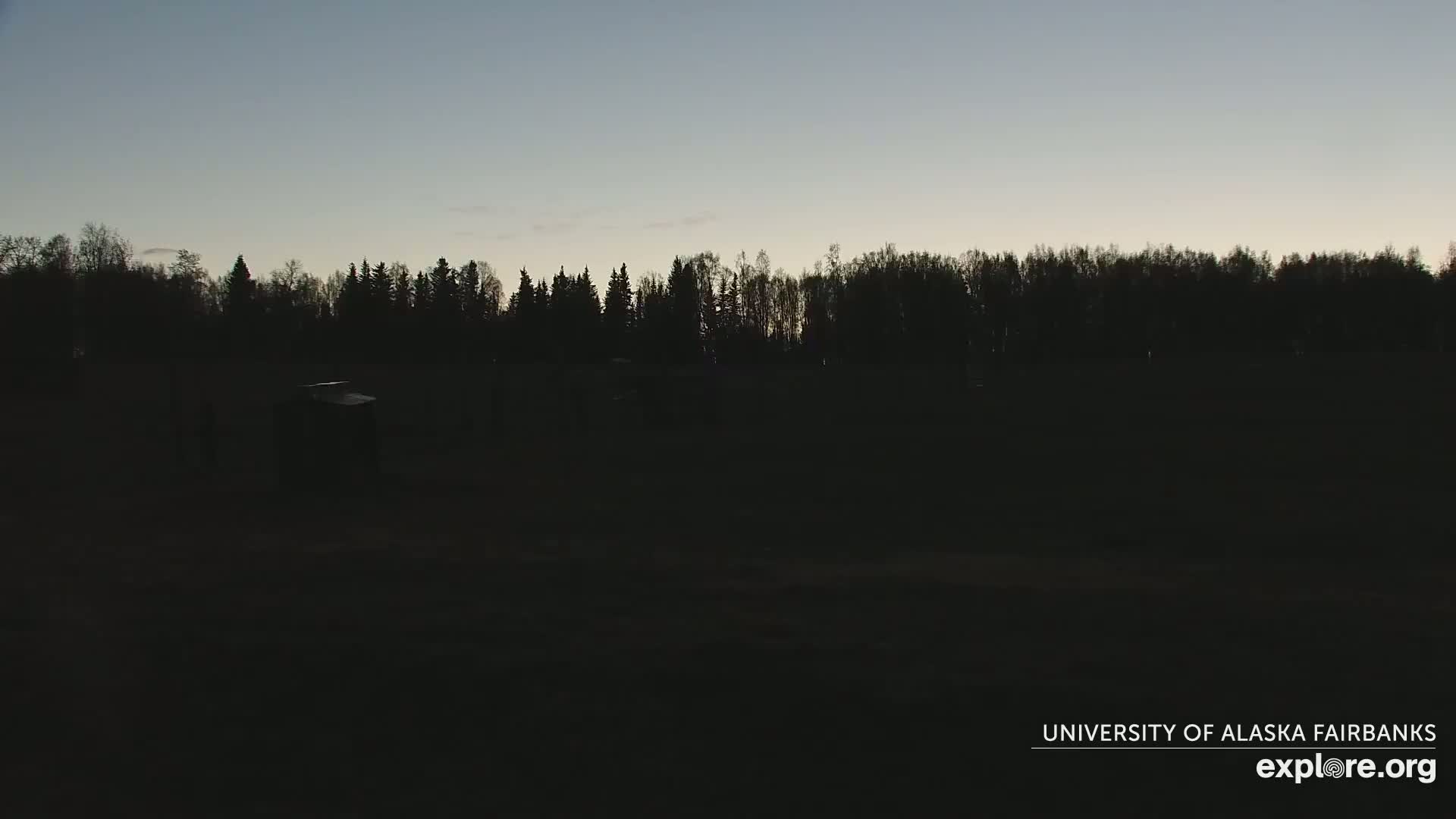 A dark, silhouetted treeline is visible against a twilight sky.