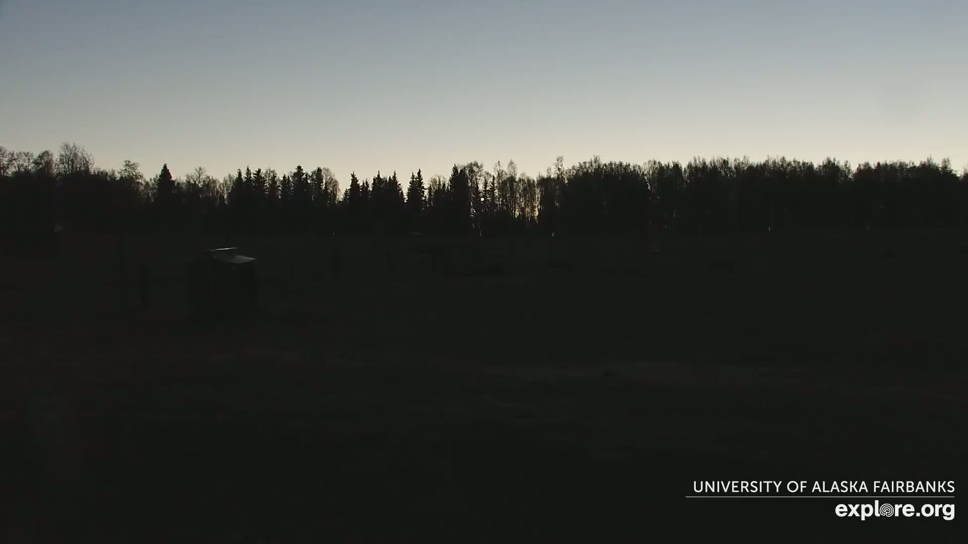 A dark, flat field is visible under a twilight sky, with a silhouetted line of trees in the background.