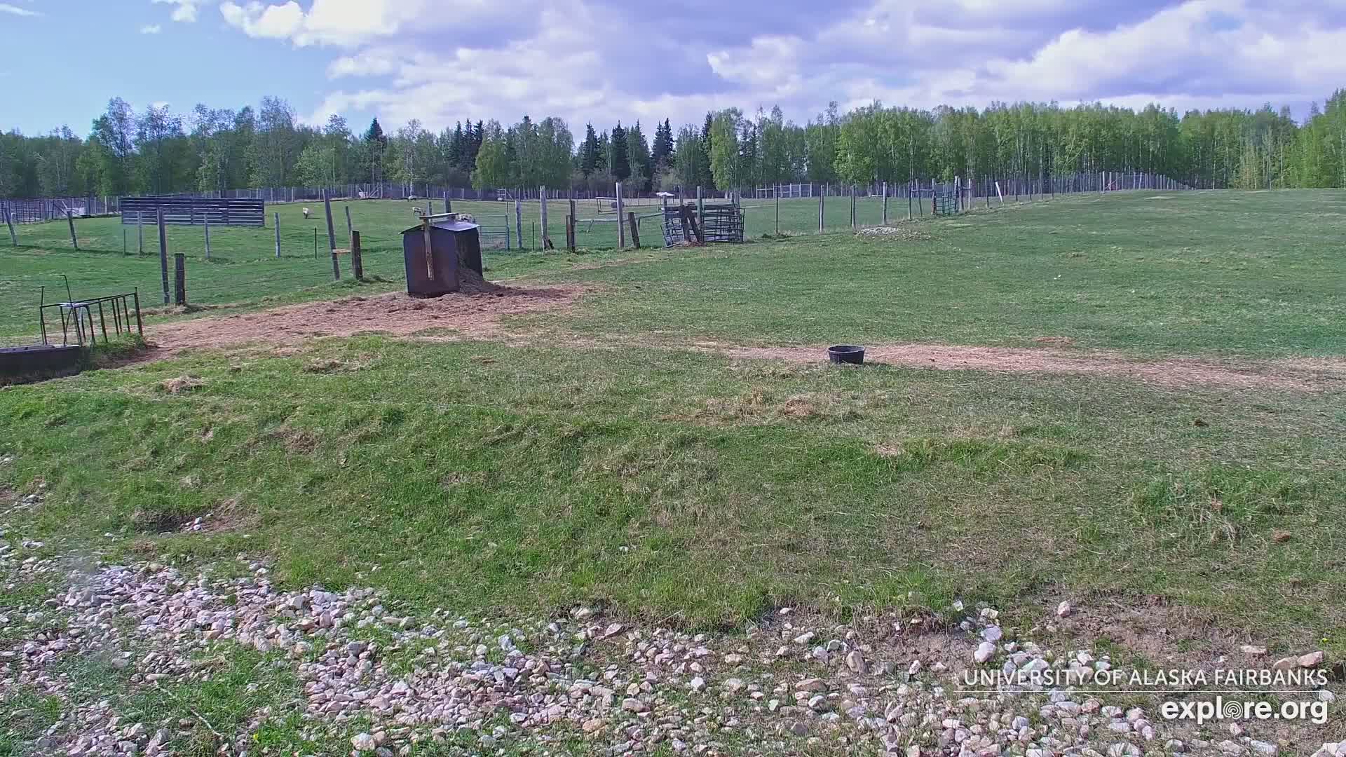 A grassy pasture with several animal enclosures, under a partly cloudy sky.
